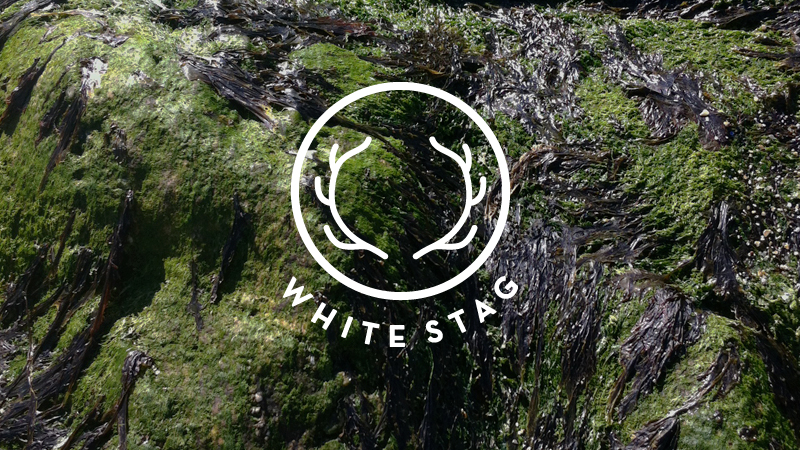 WHITE STAG - Min