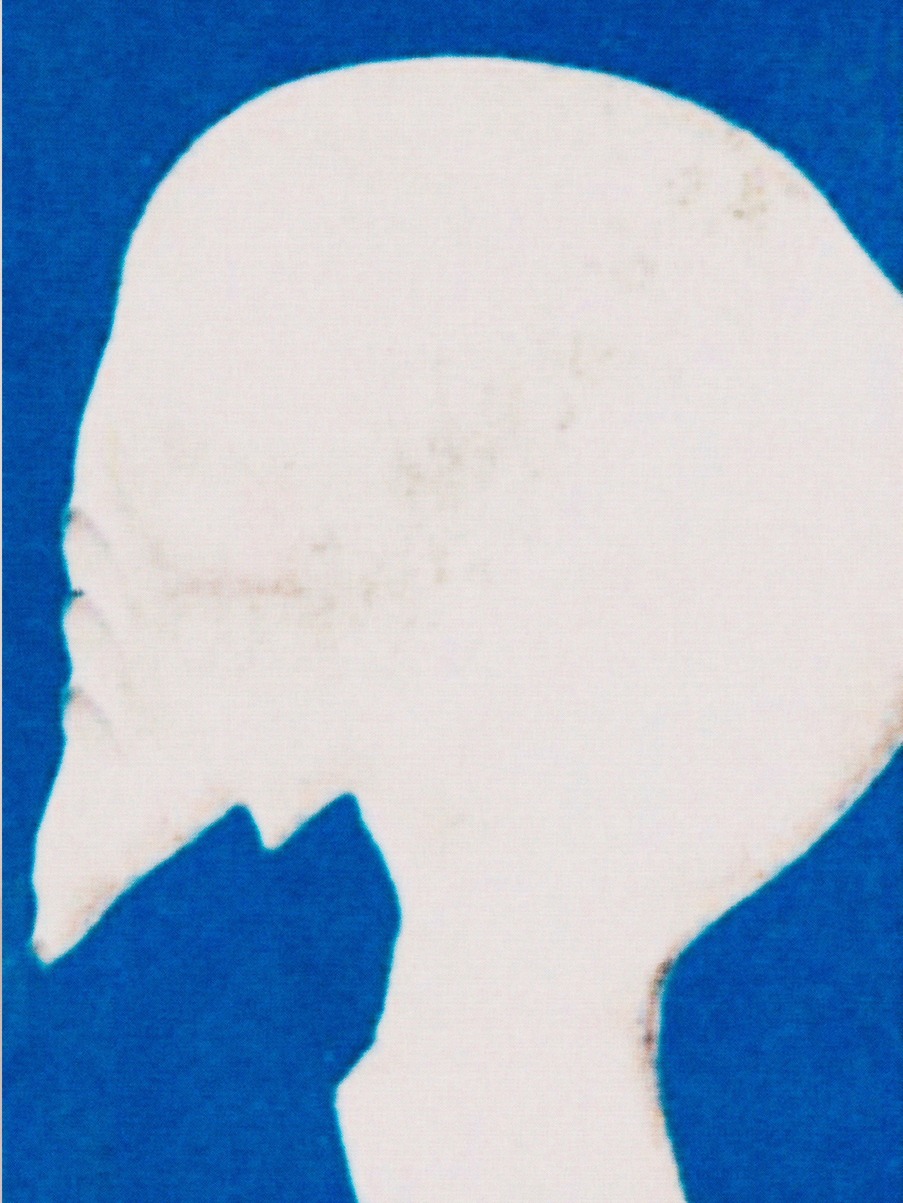 Drain Issue 2 Published by Hot Cottage & ccommunee, Edited by Ed Davis