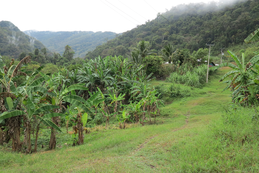 Little road in the community. San Gregorio la Esperanza, Chiapas, 2021. By María Naidich