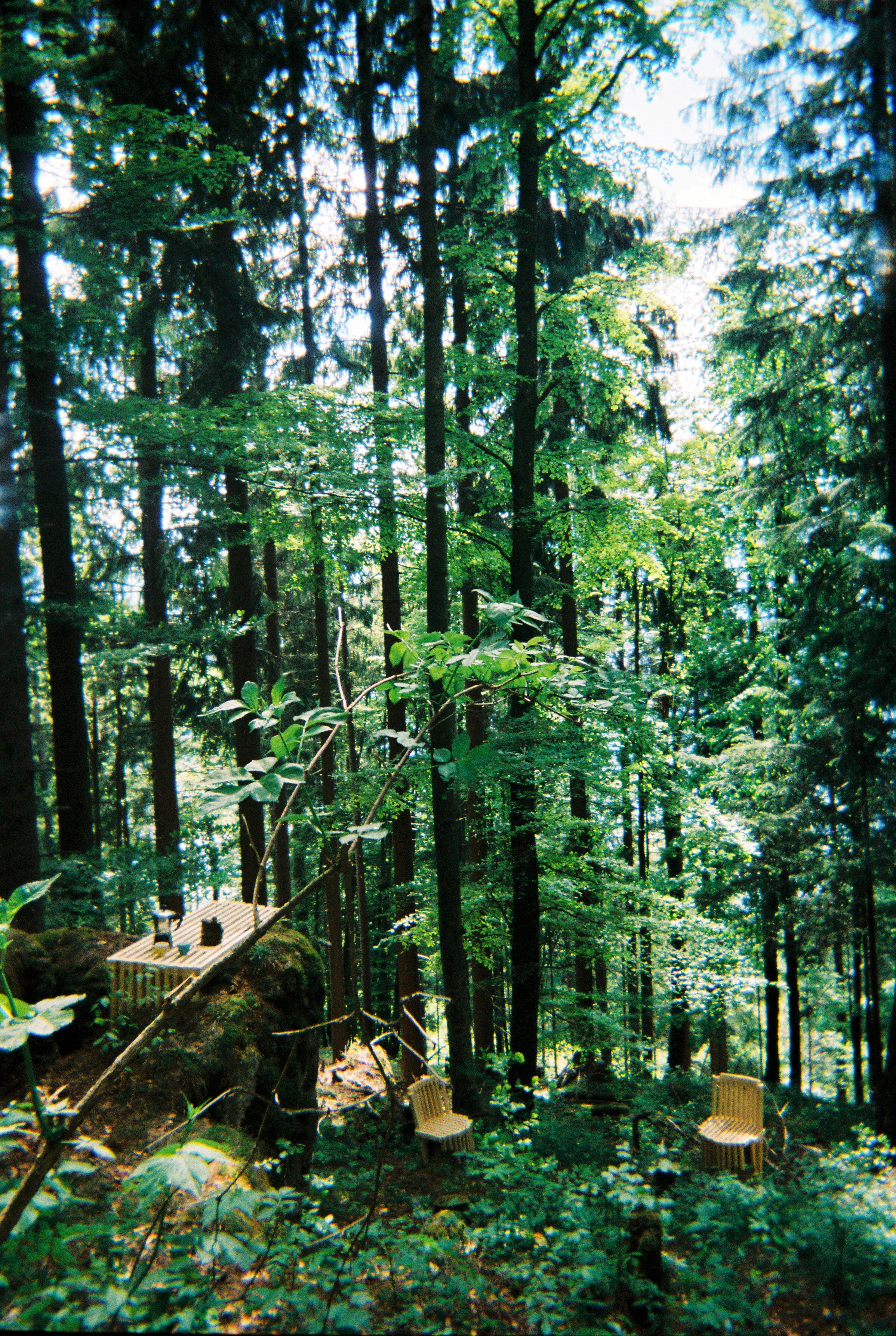 Photographs taken while walking on THE LINE in Liechtenstein by Studio Venice