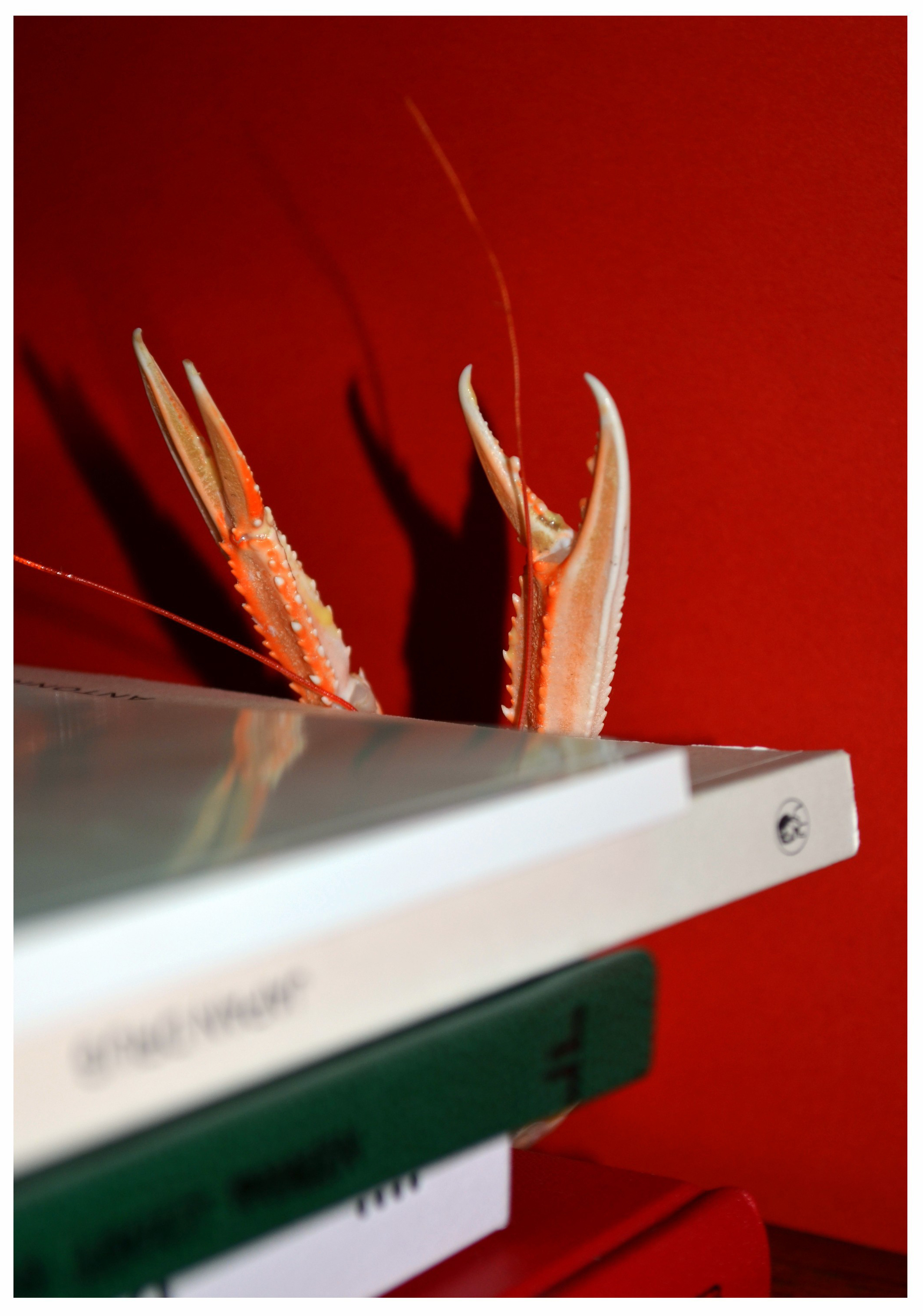 International Women's Day 2018 → Les Inrocks