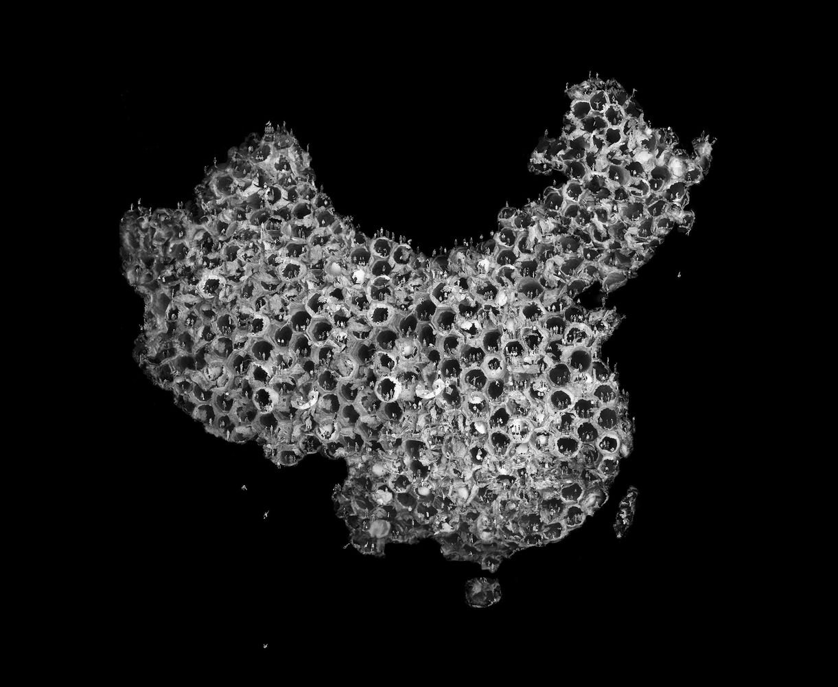 Outer Space, Map of China, 2008© Gao Brothers éd. 10 à 25.000$