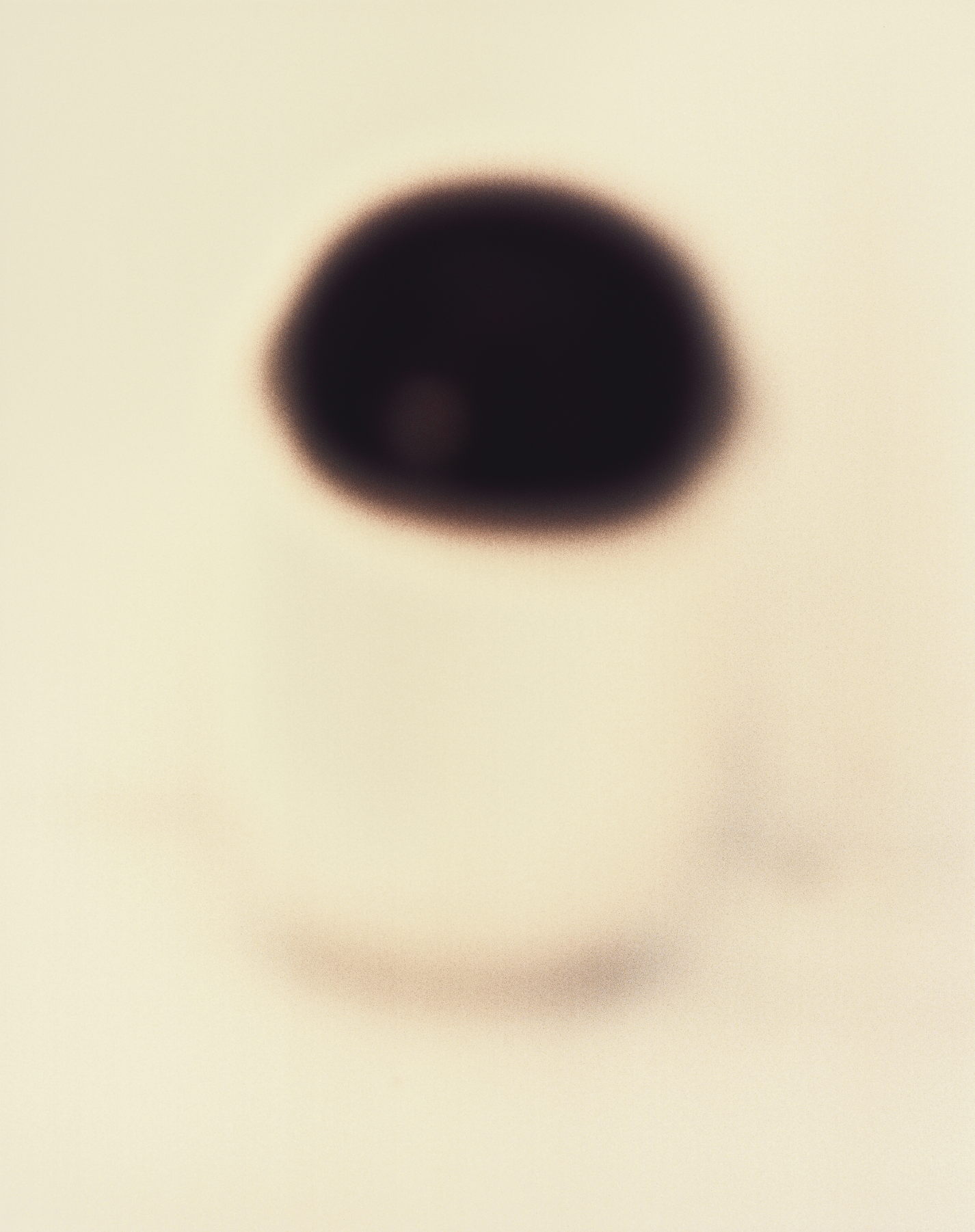 Bildnis| 100x80 cm | Unique work | 2024 |  Private collection