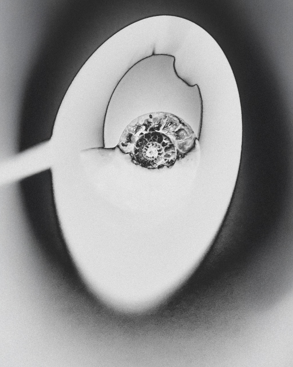 The Small & The Hidden - Personal Project