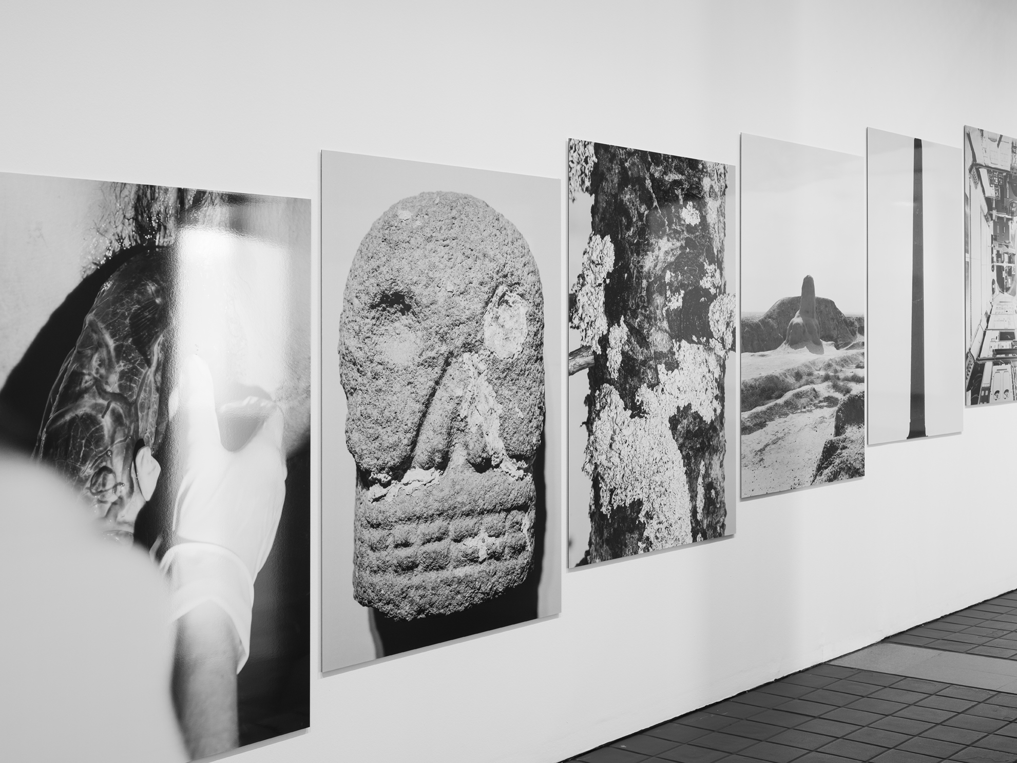 vMatter. MACBA. Museu d'Art Contemporàni de Barcelona. November 2021