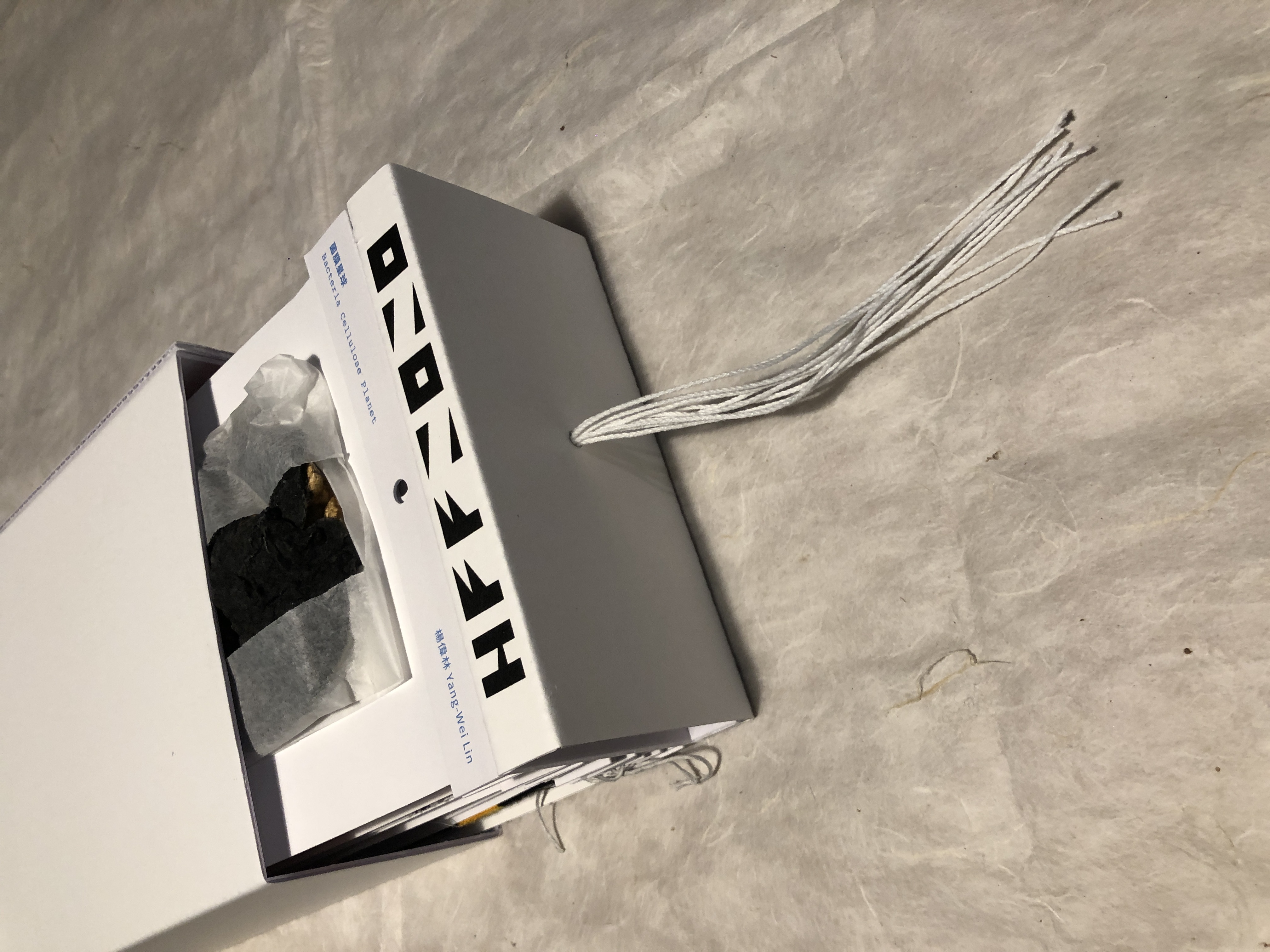 HFF 2020 watch book 01