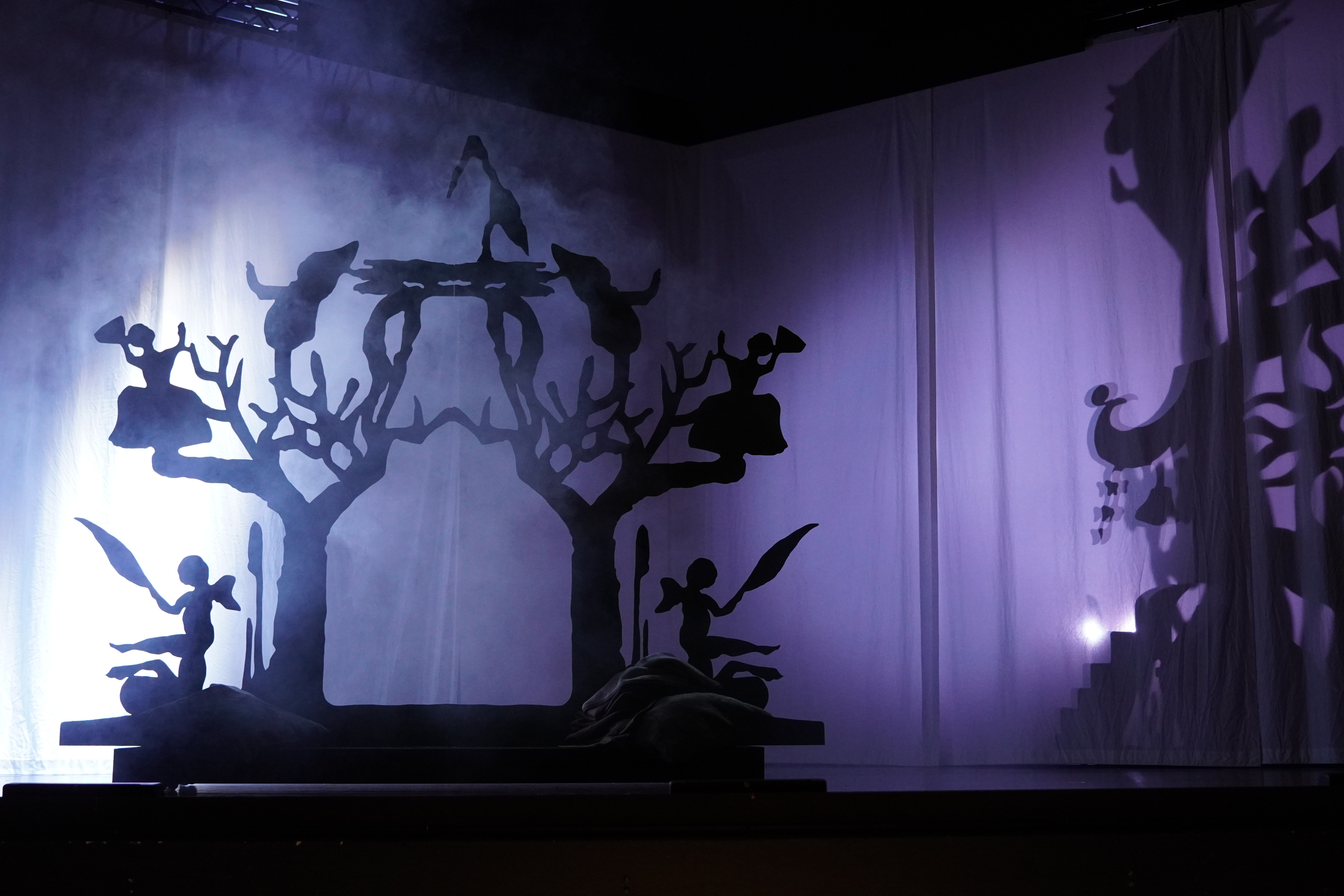 Schneek&ouml;nigin B&uuml;hne und Kost&uuml;m