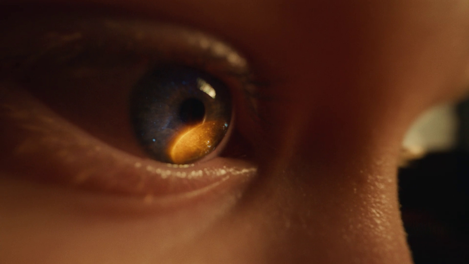 9 Oversete TegnSynoptik, 2021 