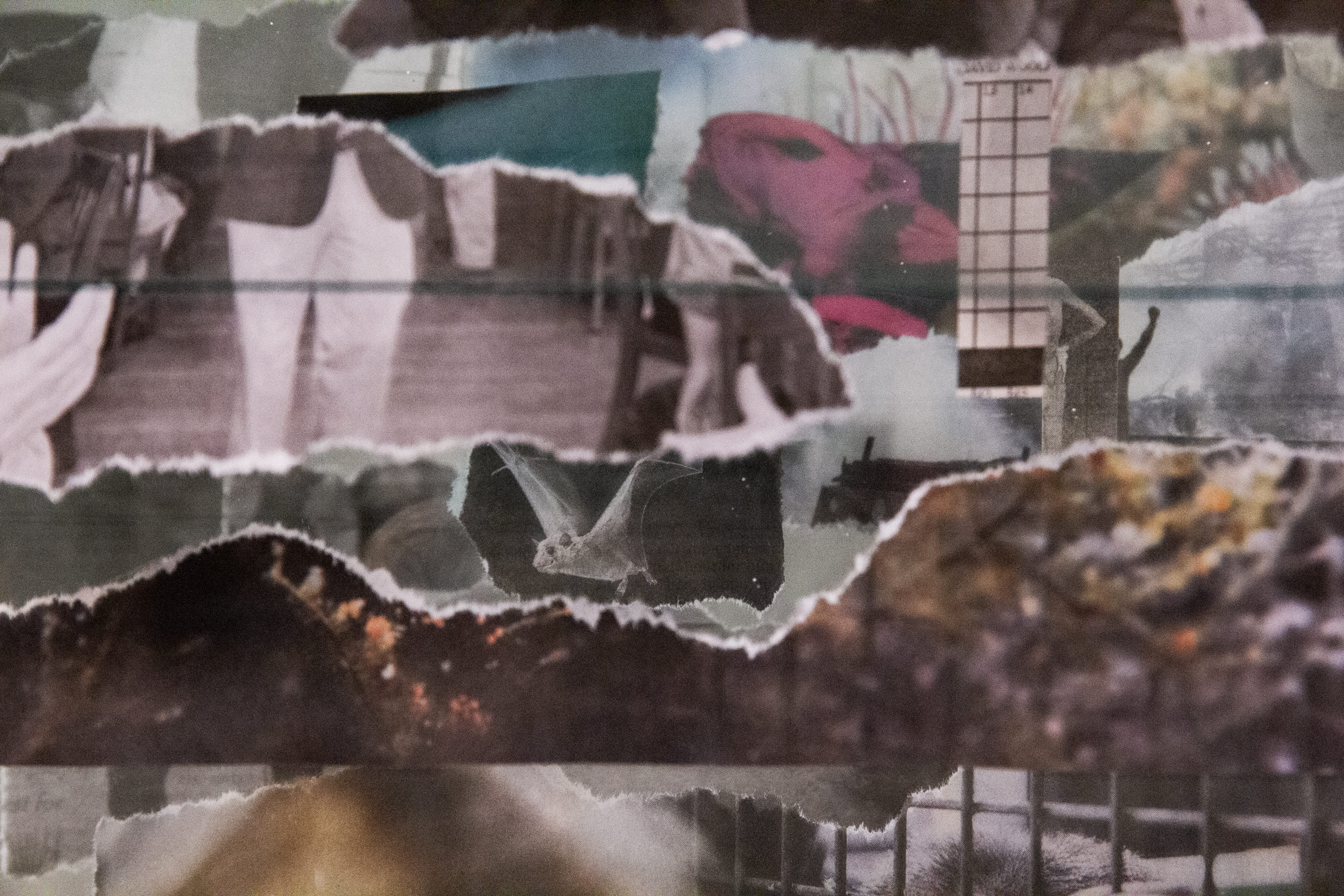 Science 2017  Archival Pigment Print on Arches Watercolor Paper 5” x 7.5” Edition 1/3 + II AP