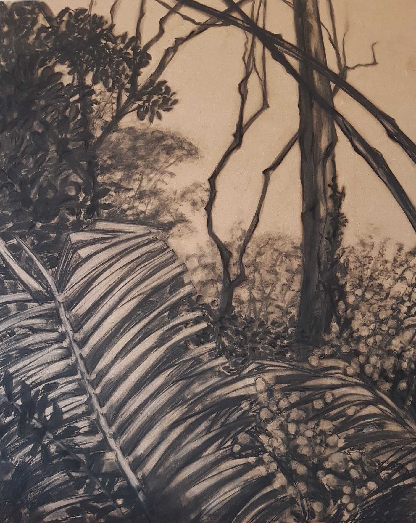 Regenwald2022, Kohle auf Pavatex, 91 x 113cm
