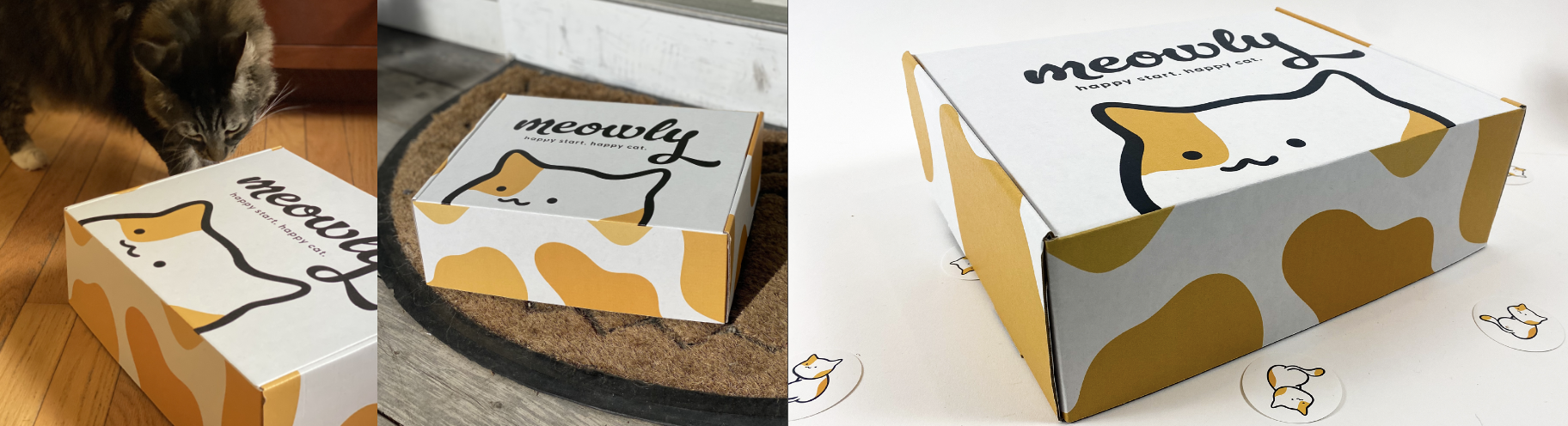 Meowly Packaging Box Prototype10x12x4 inches, 2023Images taken by Jessica Coffin