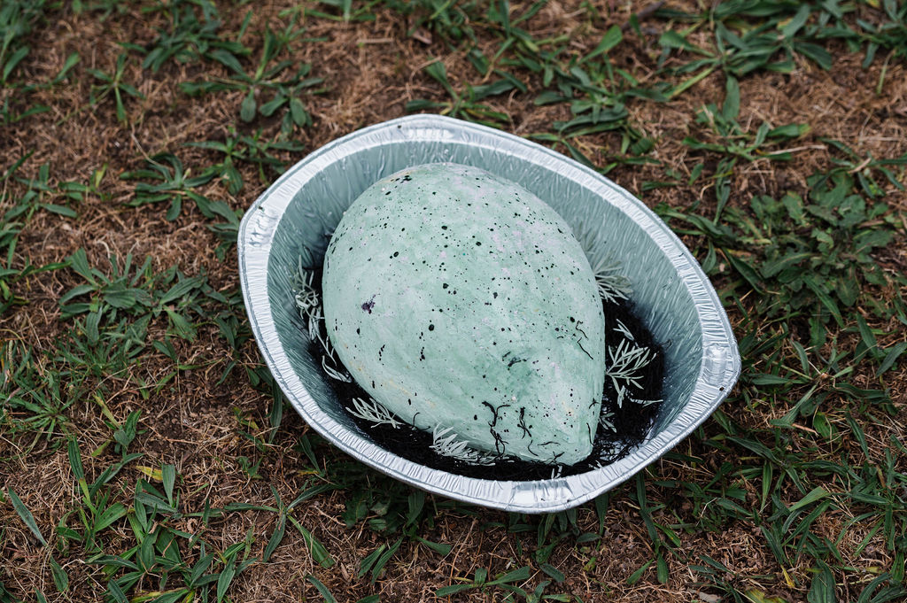 Falcon egg cake for Flight Dreams 2023