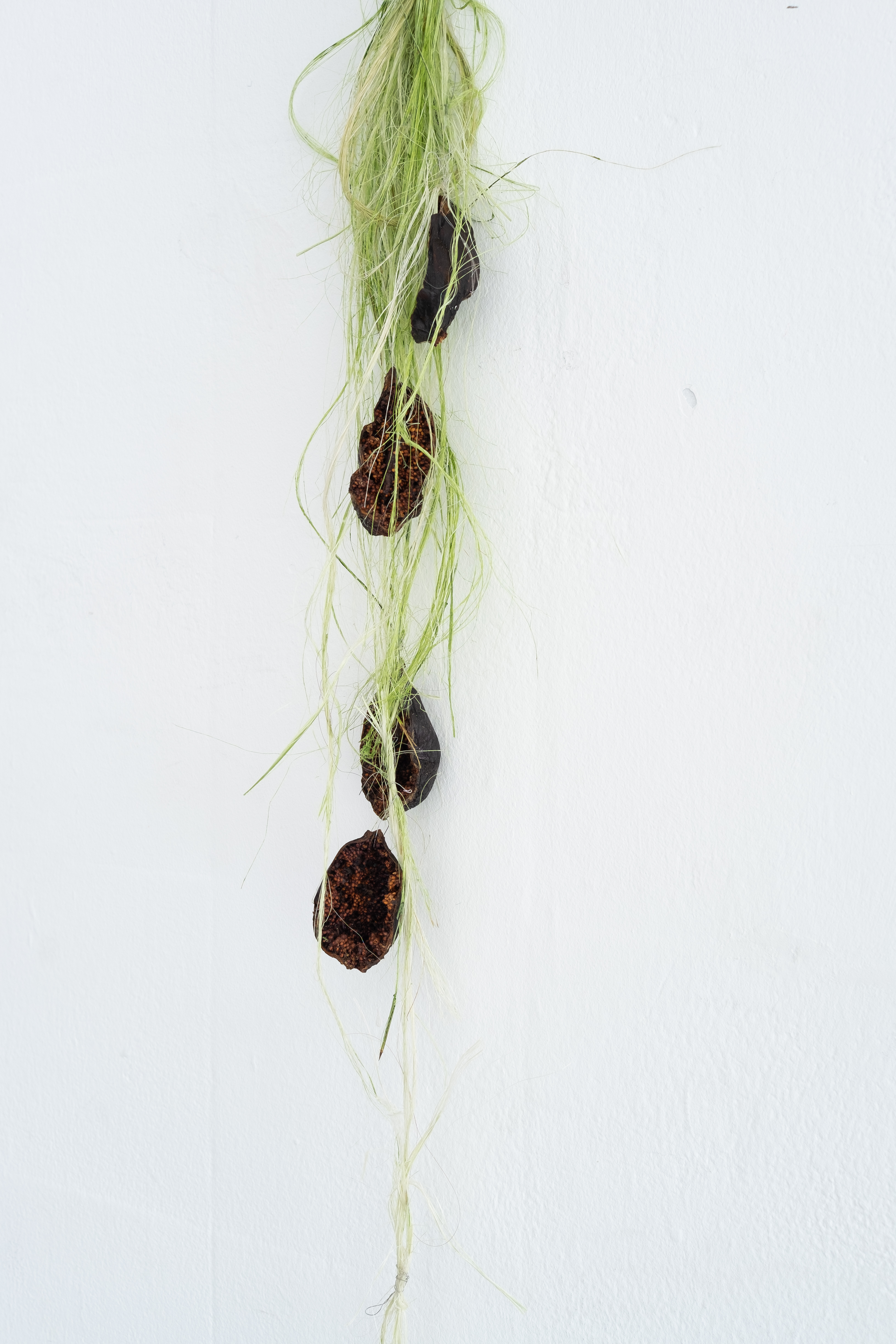 The Marquess, detail. Jasmine Pajdak