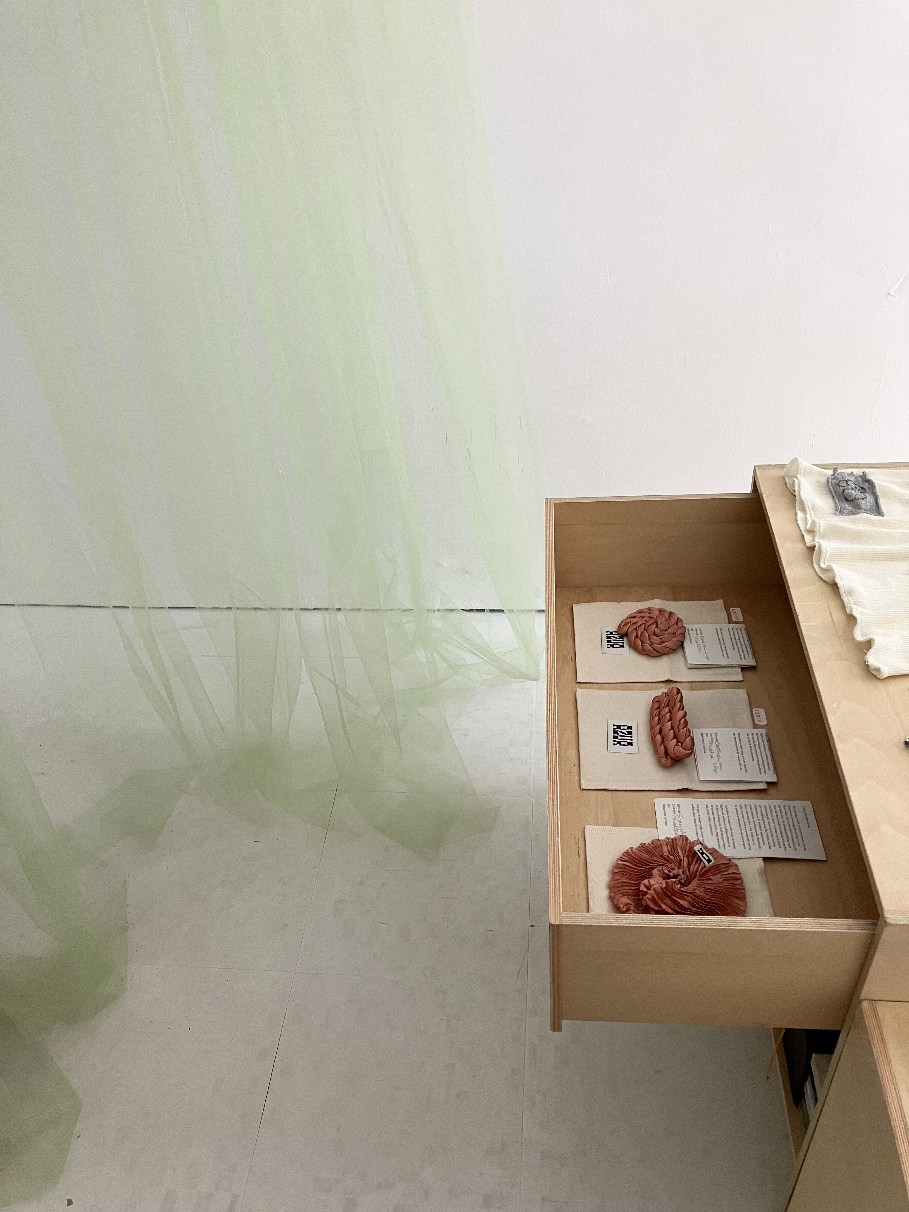 かたつむりのバレッタ- AUGUST 5, 2024