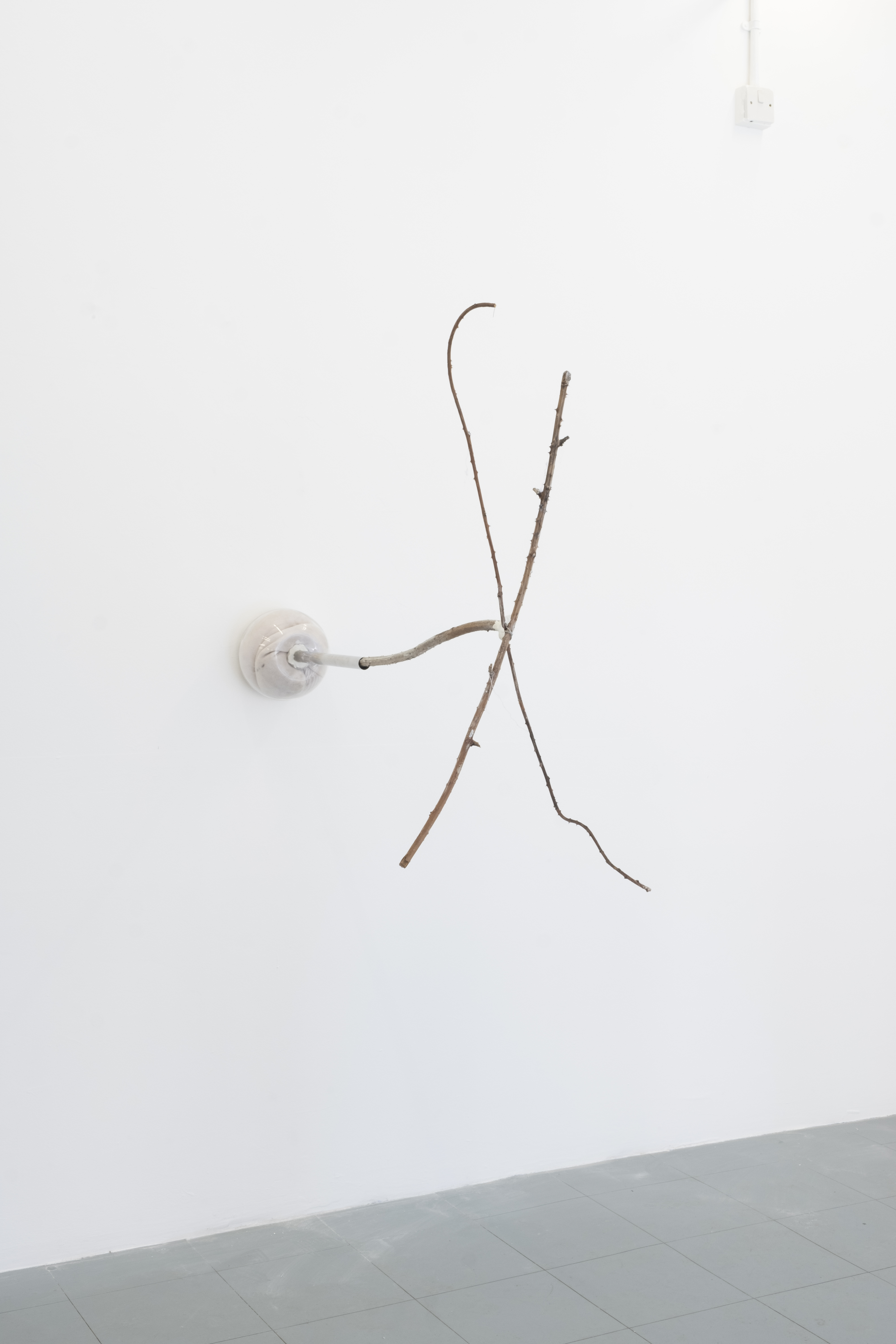 Game, 2021, Fishbowl, Socks, Thorns, Sawdust, Epoxy, Pipe, 0.5m x 1.2m x 1.1m