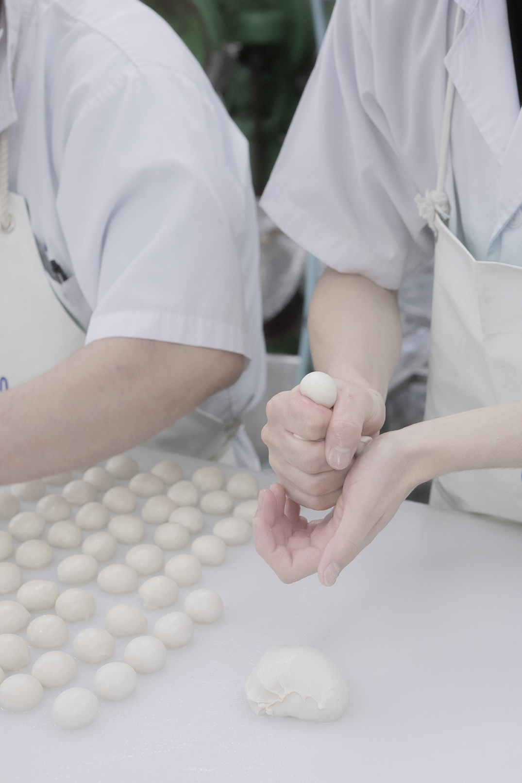 PHOTOGRAPHY RAF STUDIO for FU KYOTO VILLA KUJOYAMA