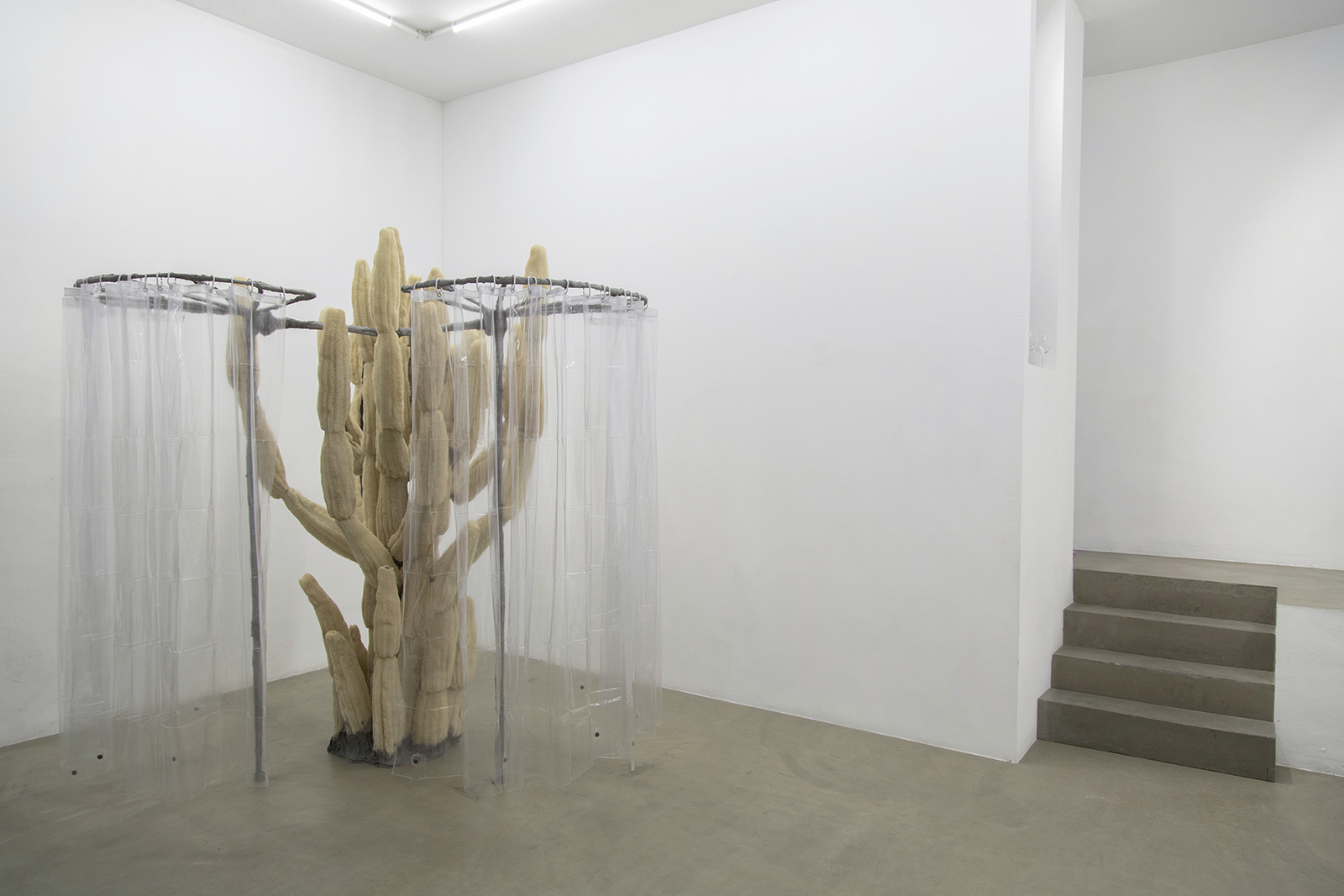 Cactus Tree, 2017, plaster, sand, pigment, burlap, steel, glass, vaseline, egyptian loofah, shower curtains