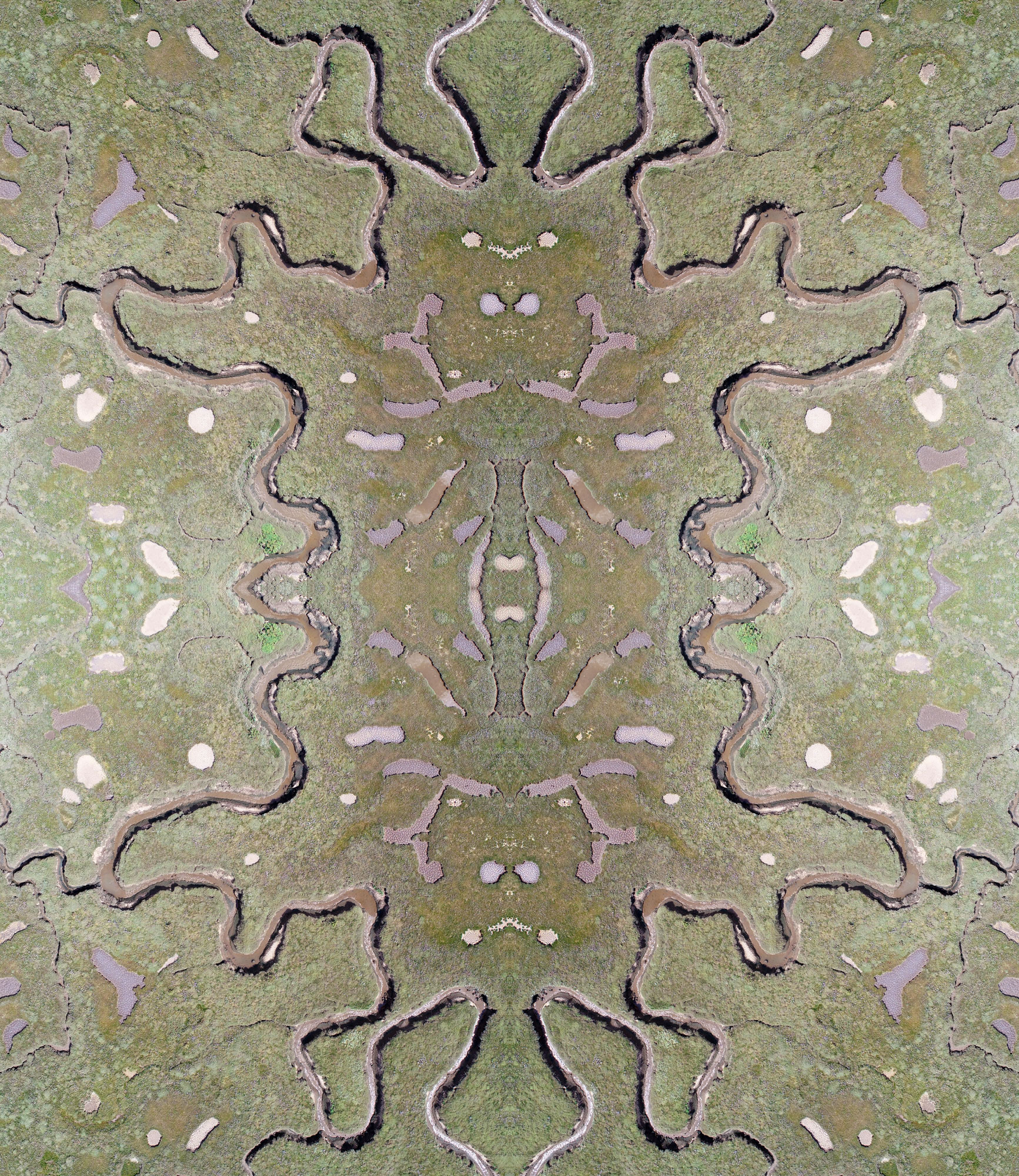 Marshian, digital print, 60 x 52 cm