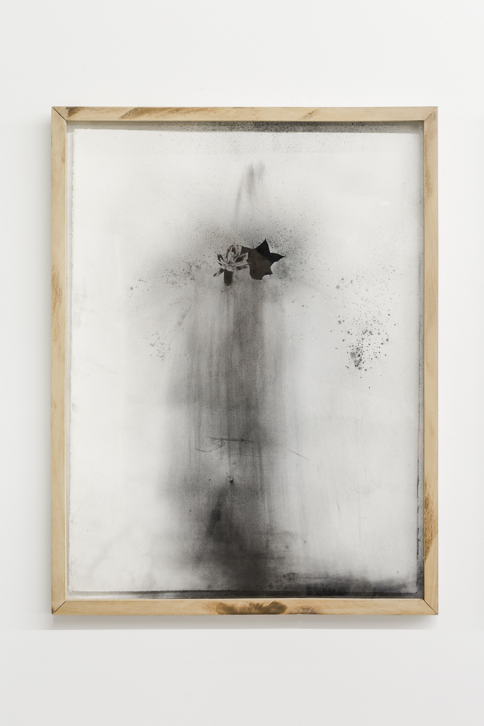 Strange Blooms : (1092.7 to Berlin, Tulip), 2018