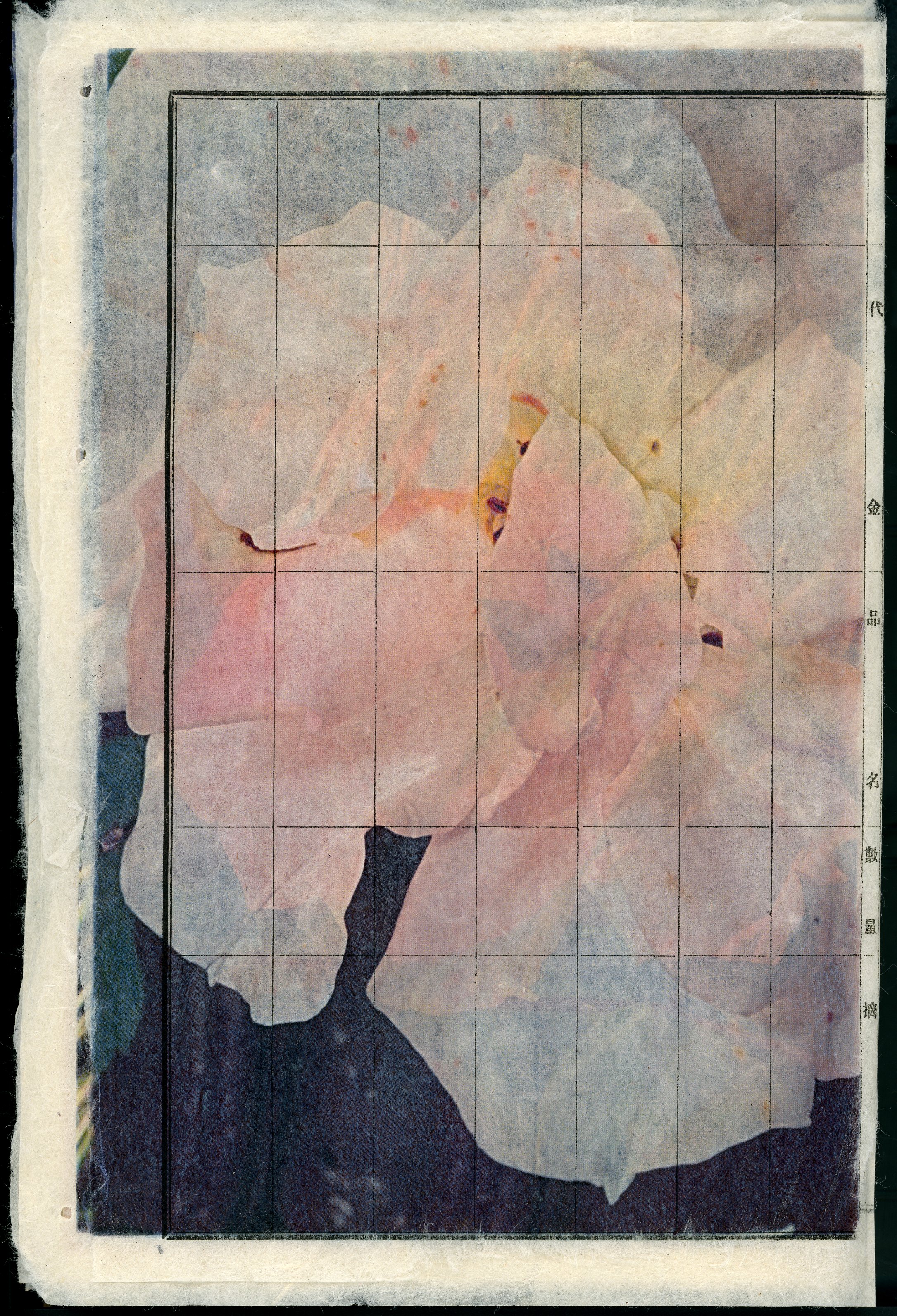 "Comptes d'imperfections et de certitudes",  Japanese paper, 2021