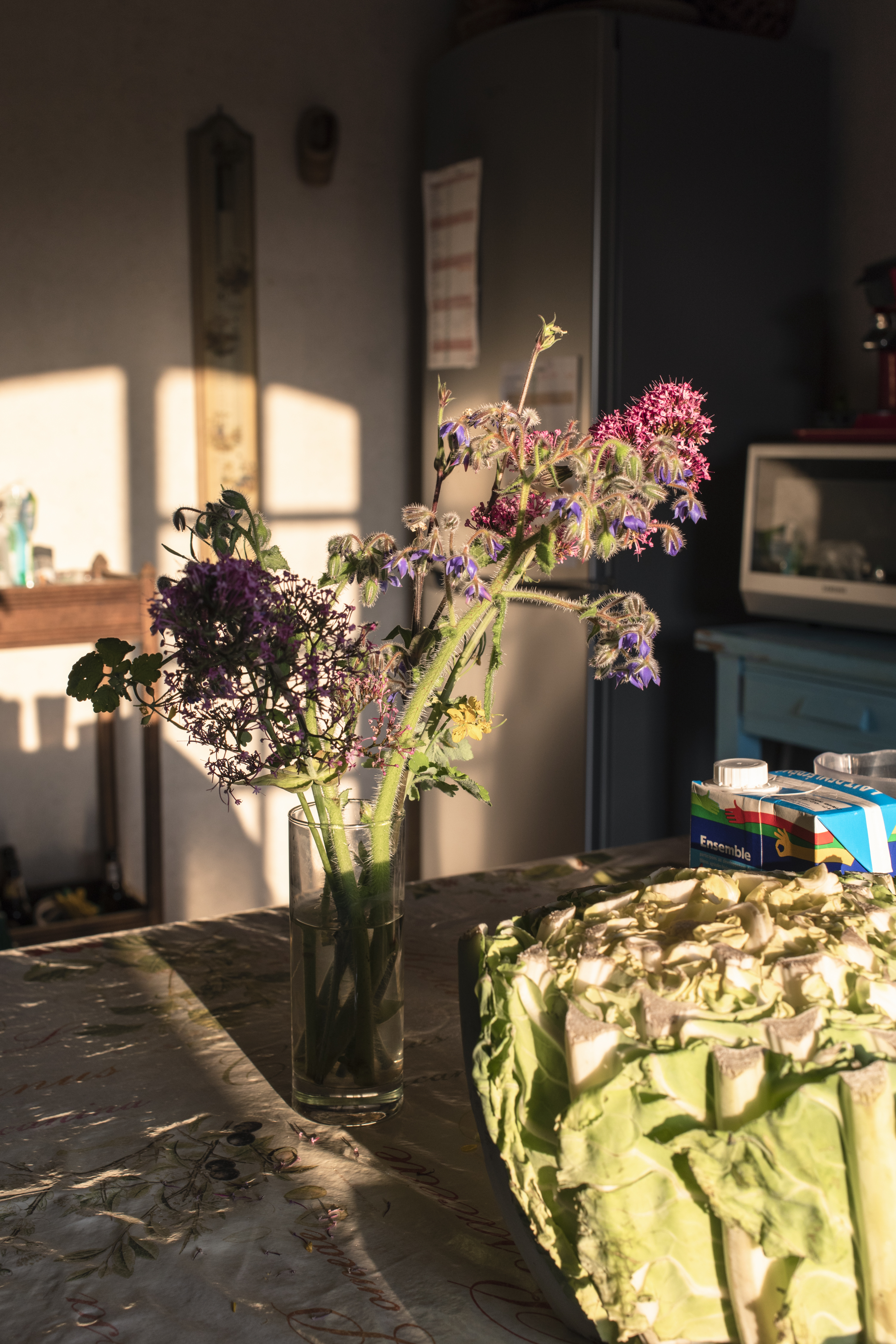 julien cregut-Lost Dogs-©juliencregut