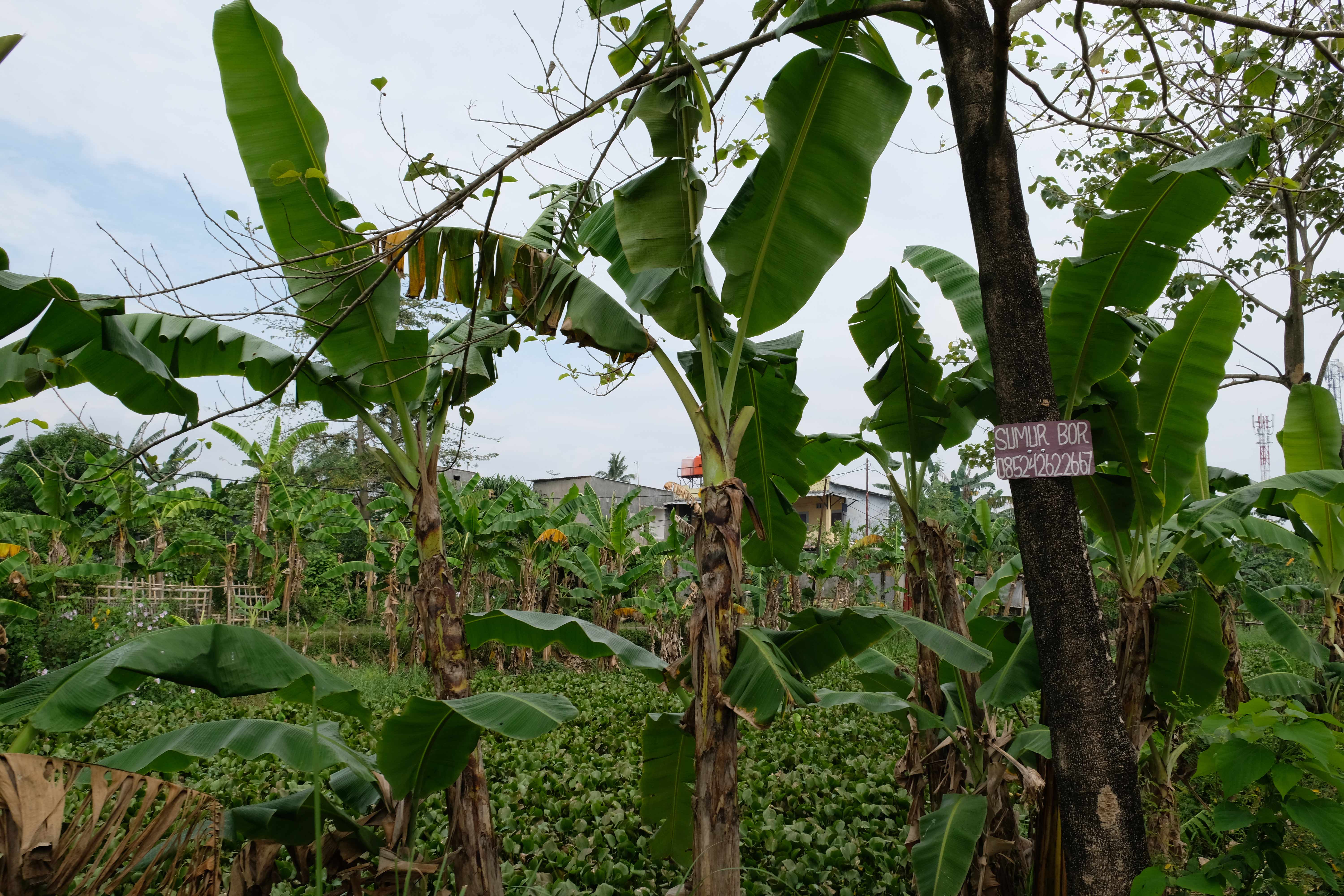 "Digging wells" - the signs are everywhere