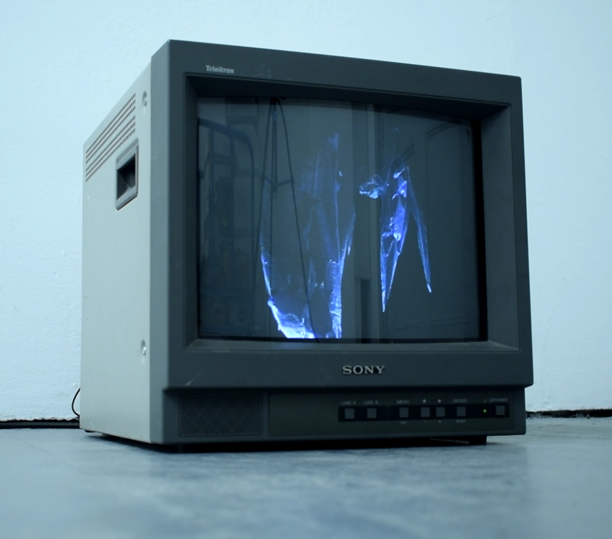 Megafauna, video on monitor, 2020