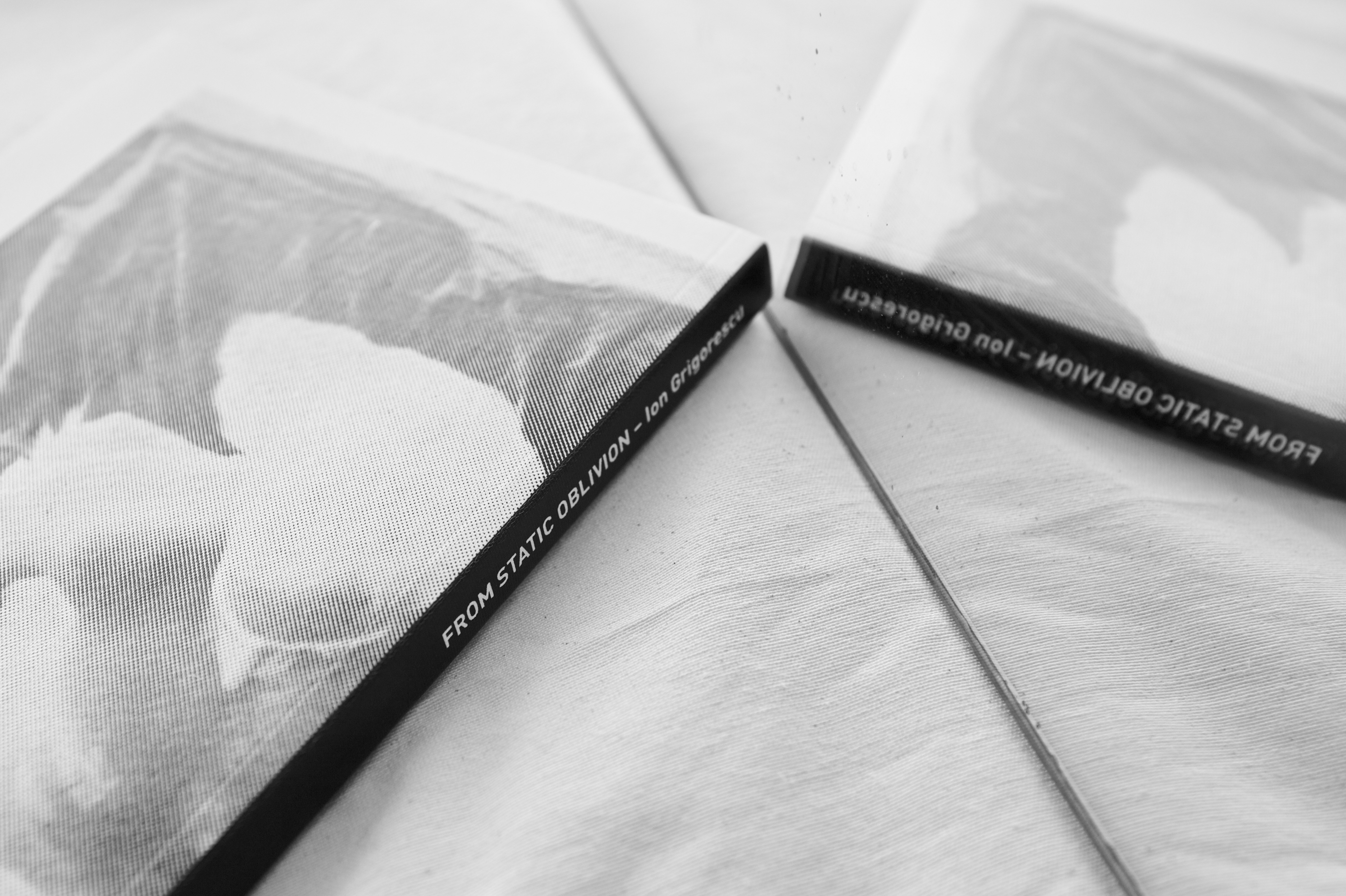 alt="Ion Grigorescu From static oblivion book cover"