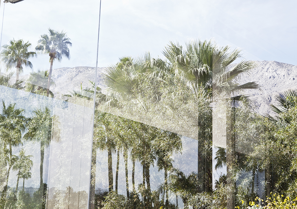 PHOTOGRAPHY RAF STUDIO FOR FROG MAGAZINE PALM SPRINGS