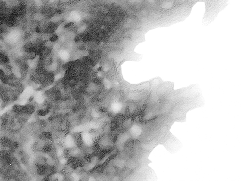 Petite tante P&acirc;querette