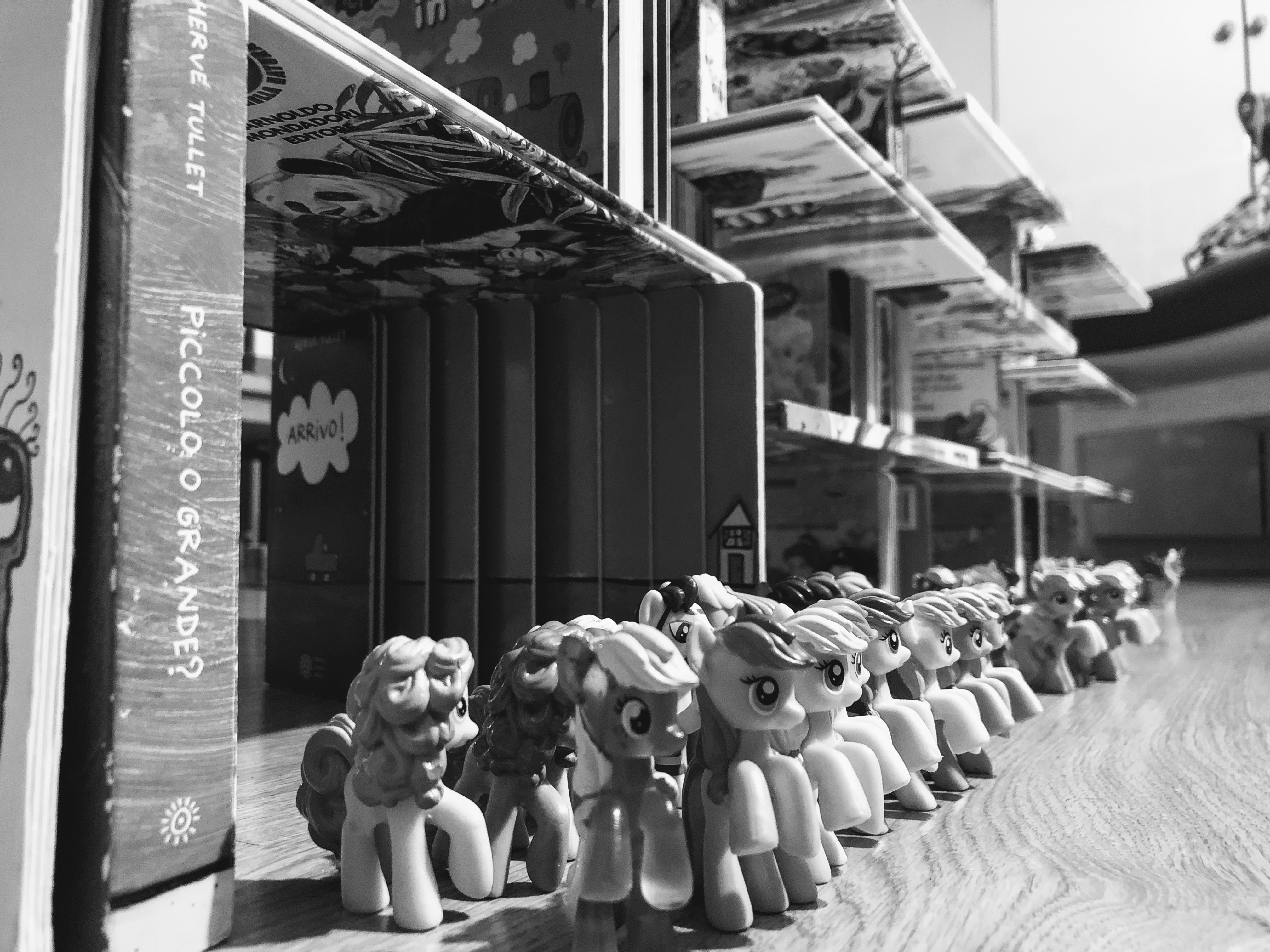 MLP, Bologna, 19-3-19