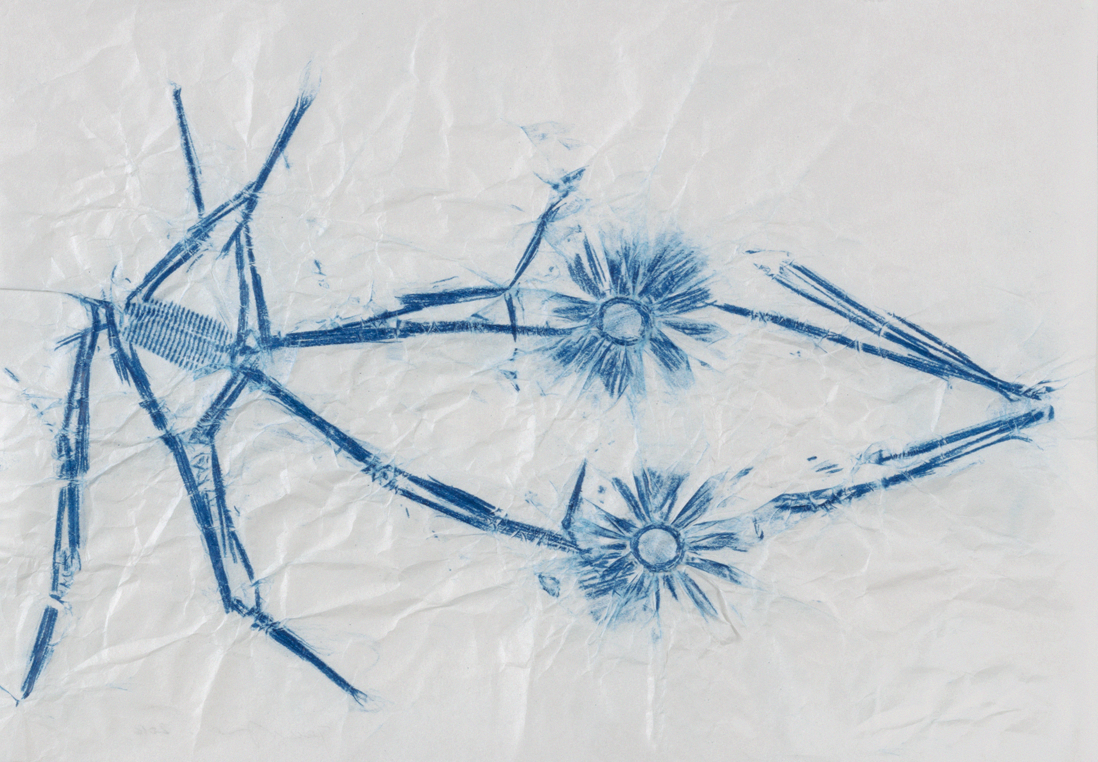 Mini Antenna, 2016. Frottage, 11 &frac12; &times; 16 inches