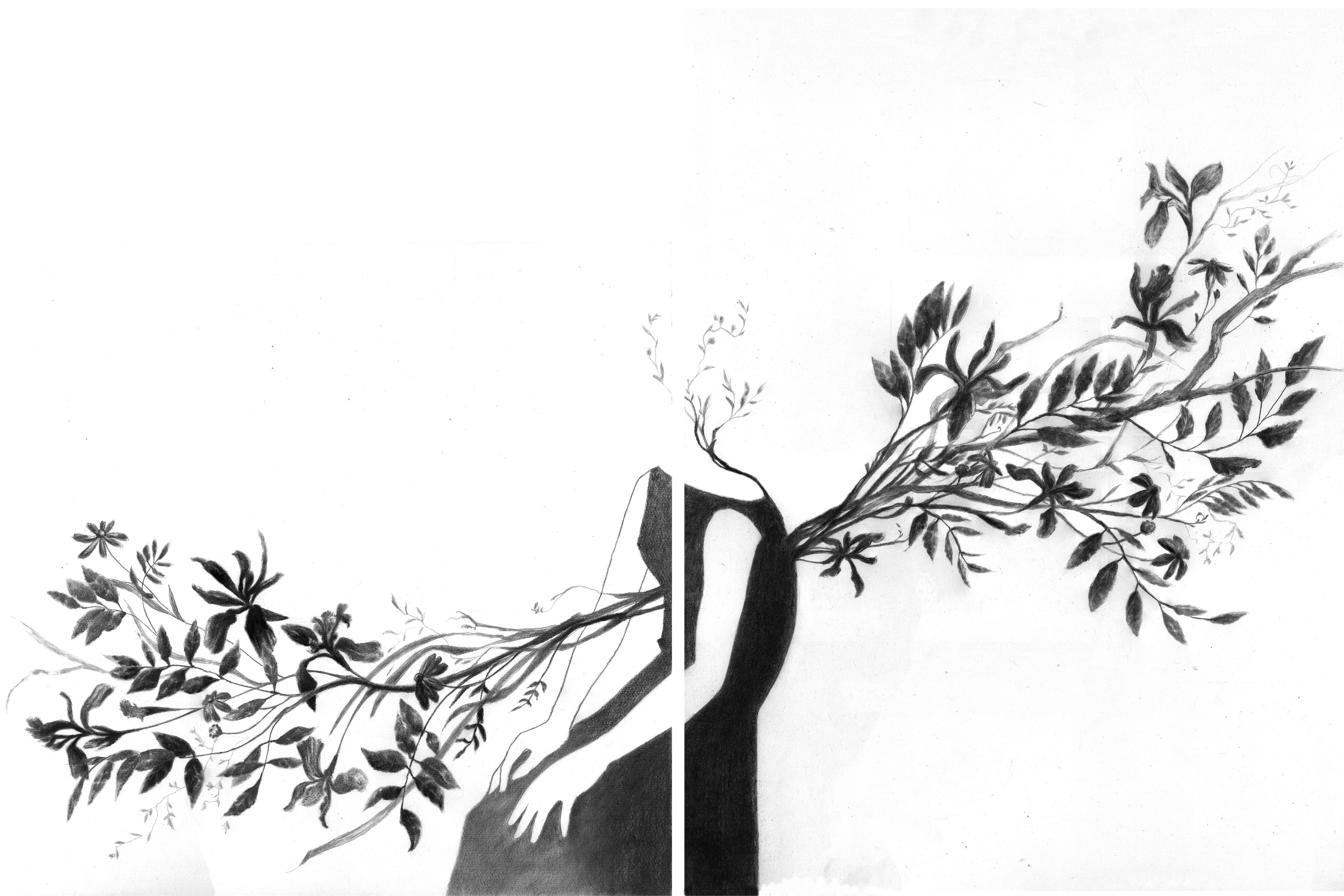 Reinvention, graphite and charcoal, 36x24 inches, 2023