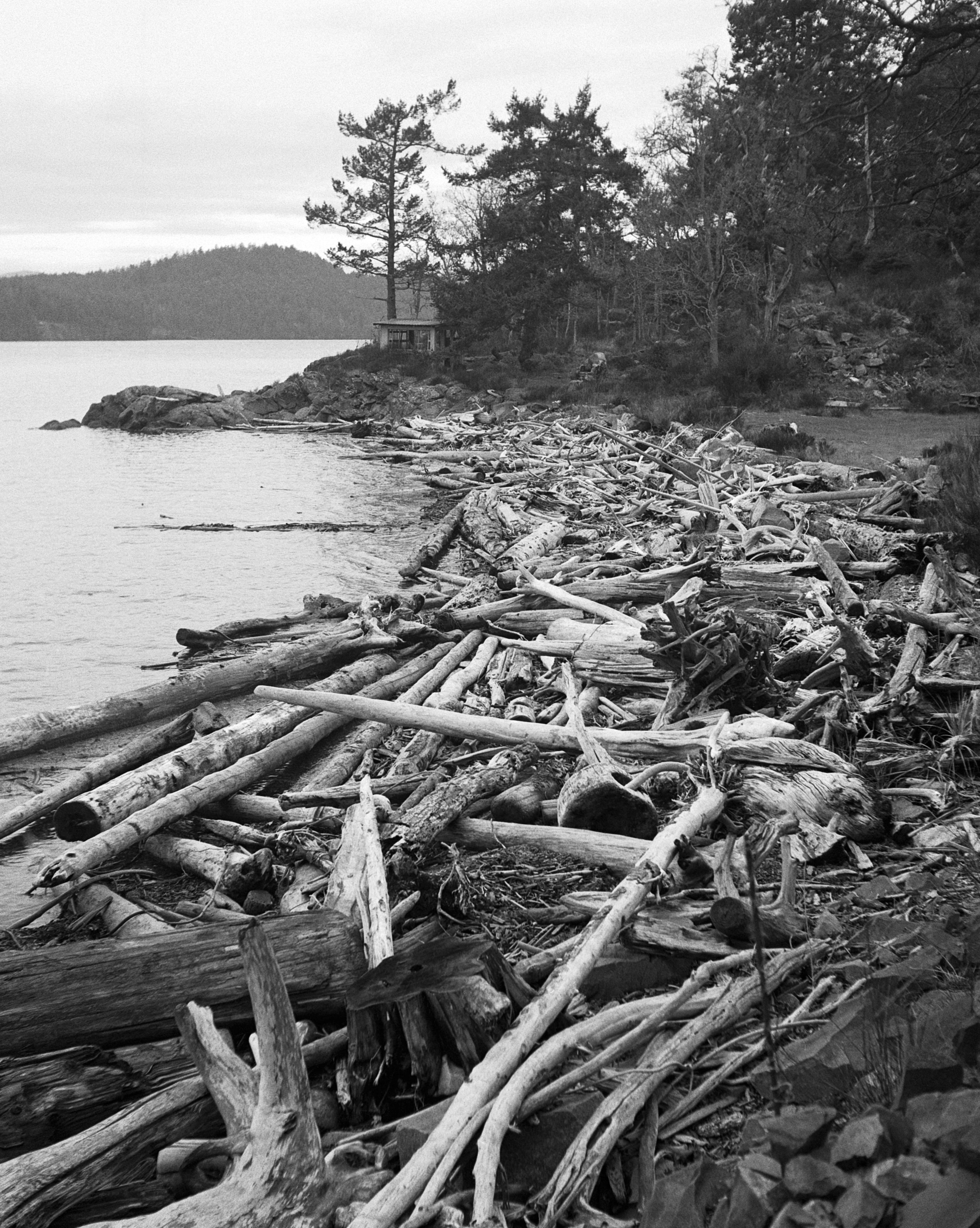 Reave Dennison, Beechwood Drive, 2023, 40.5 x 51 cm. Gelatin silver print.