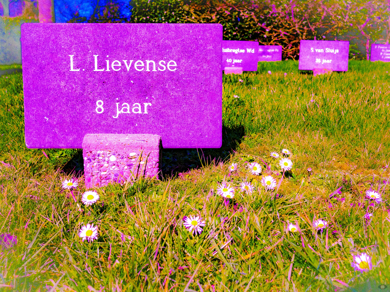 Victims of the Battle of the Scheldt, November 1944, Westkapelle, Zeeland