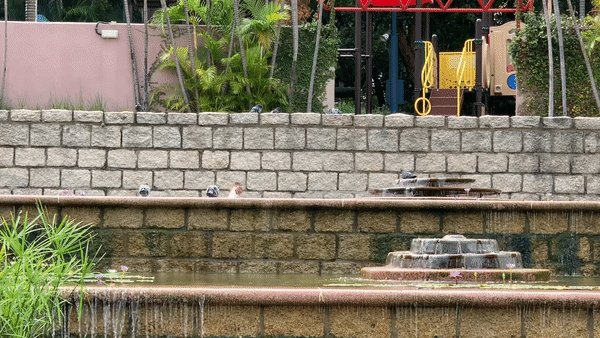 BENCH 15:40 KOWLOON PARK