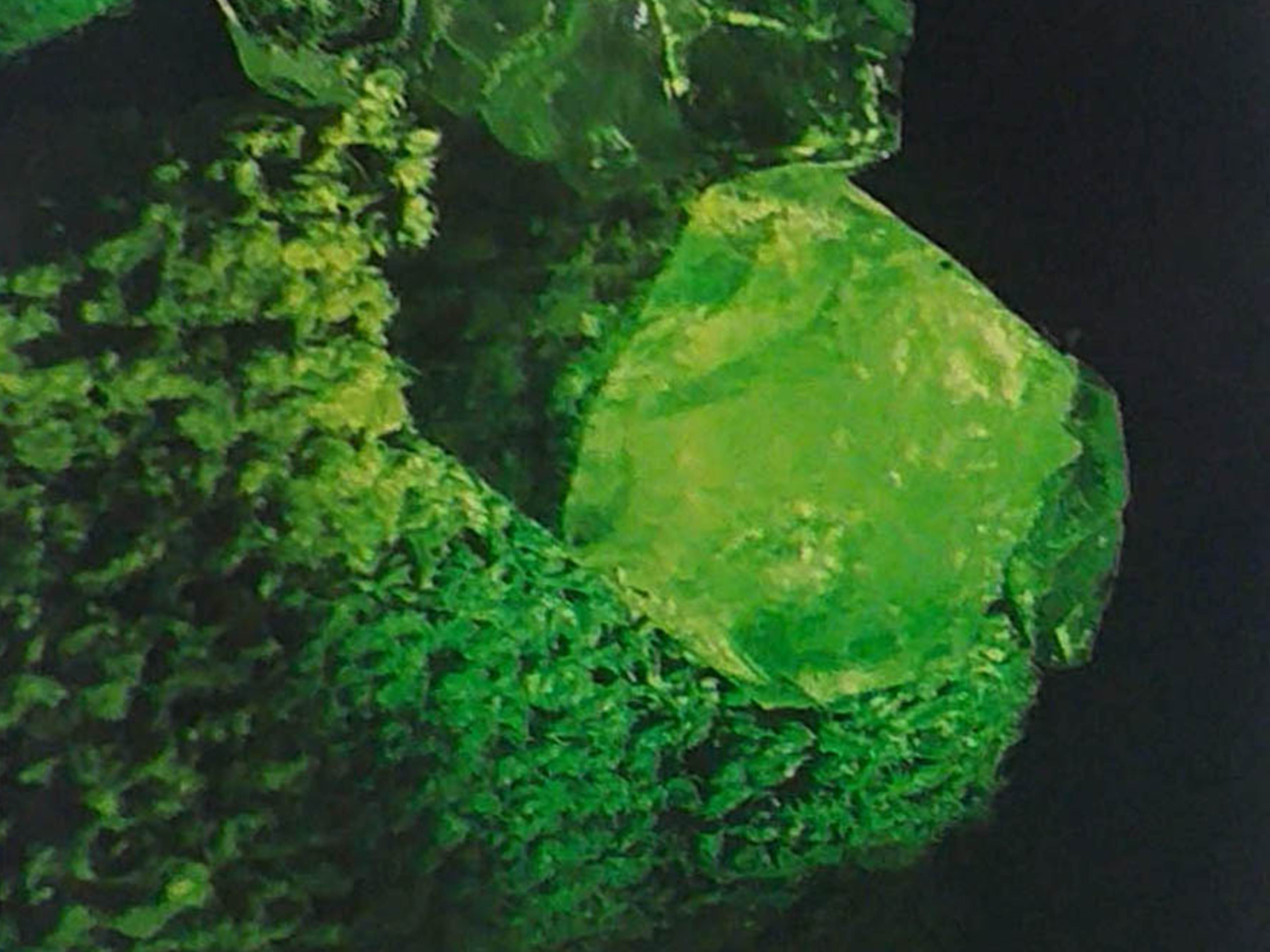 Crystalline Coexistences - Workshop 2022