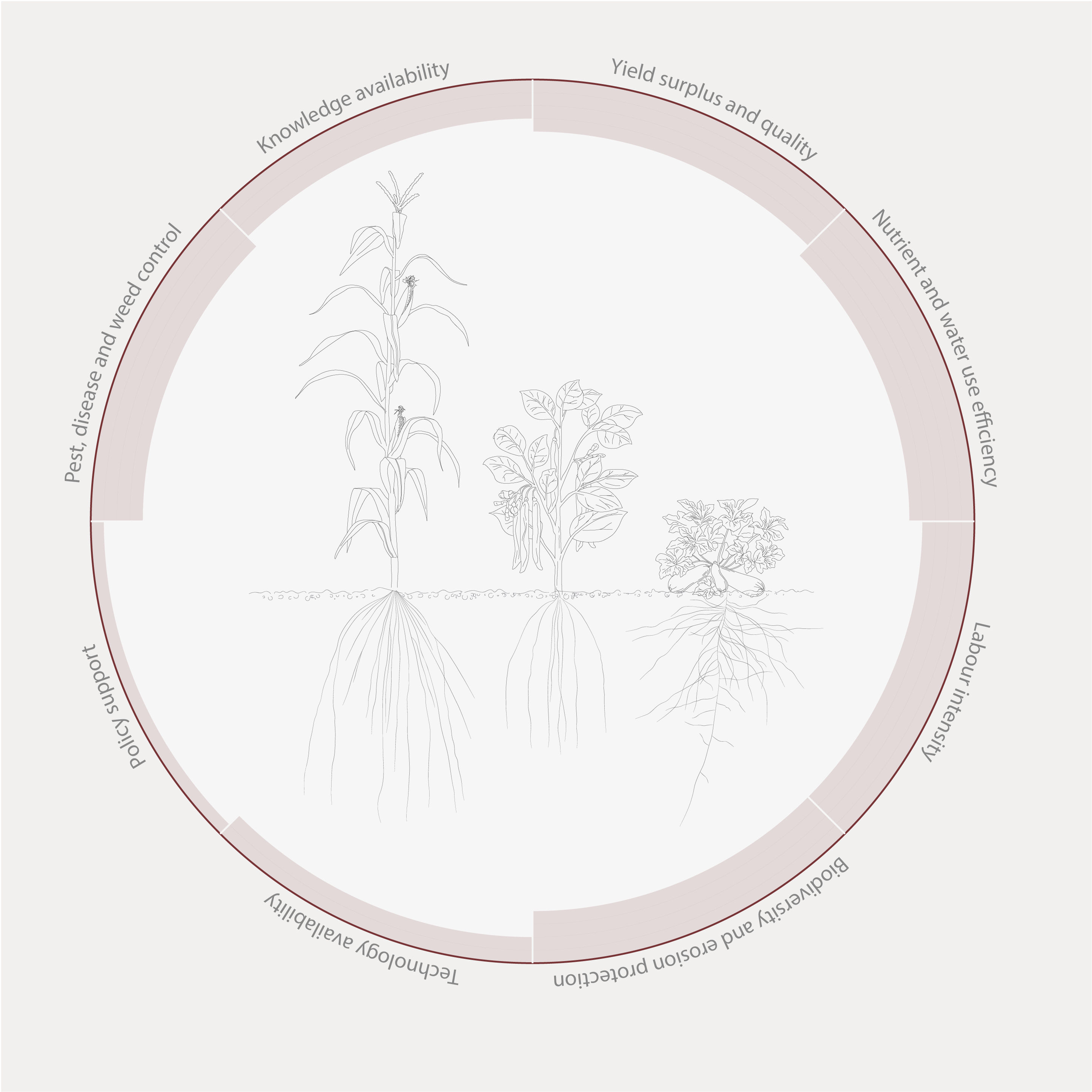 Intercropping