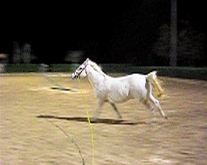 Trabajar o Caballo describiendo un círculo, 2009 [still]Single-channel video projection, color, silent8 sec. loop