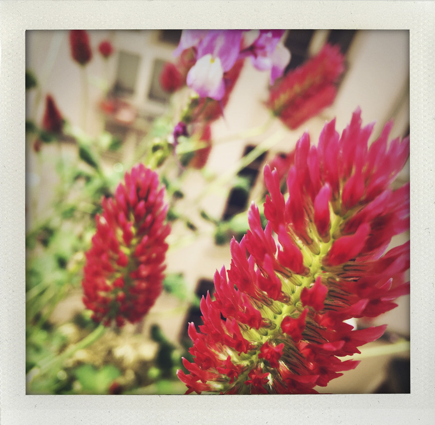 1 Mai 2020 En ouvrant la fenêtre