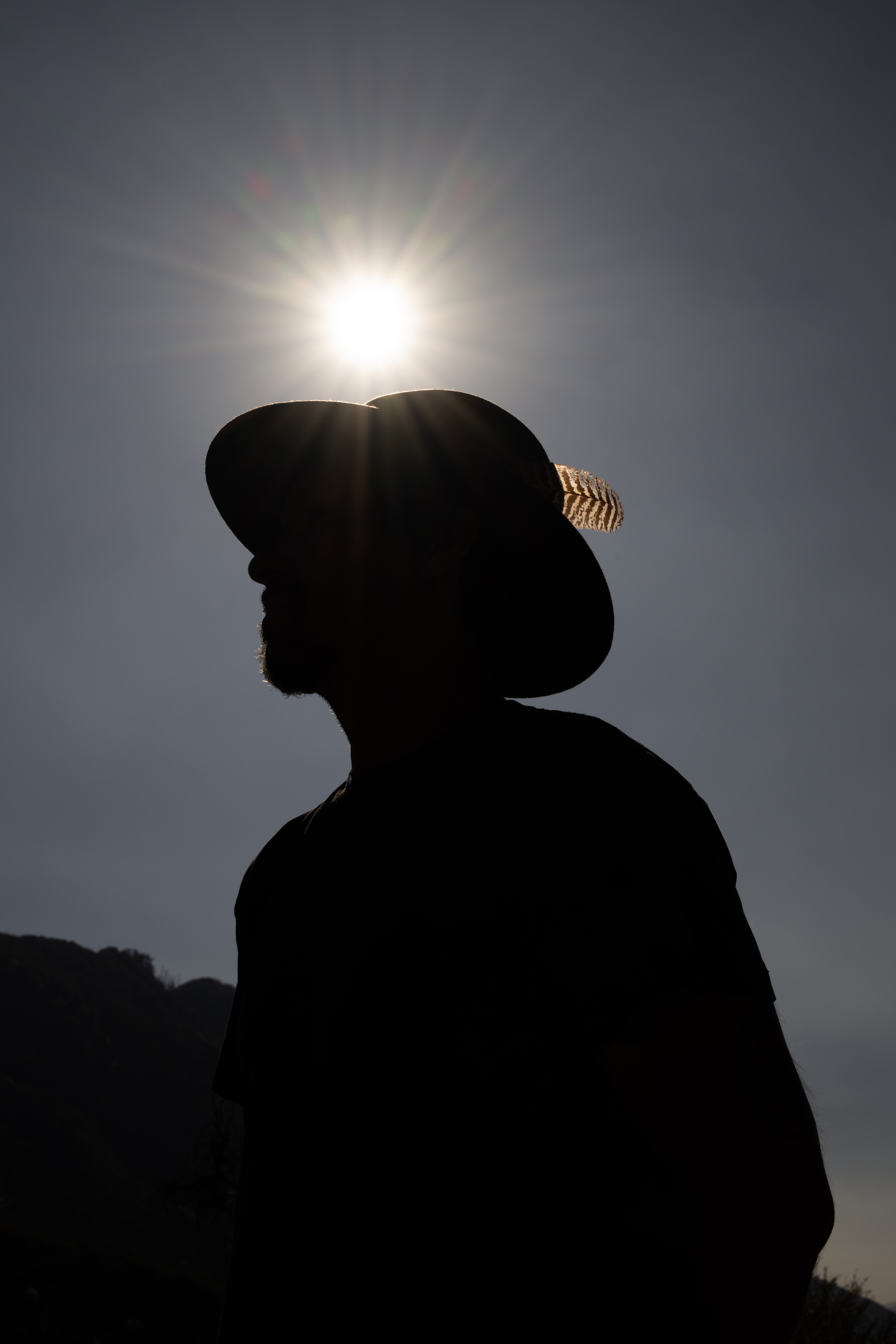 "Wolves" by Sterling HolyWhiteMountain for The New Yorker.