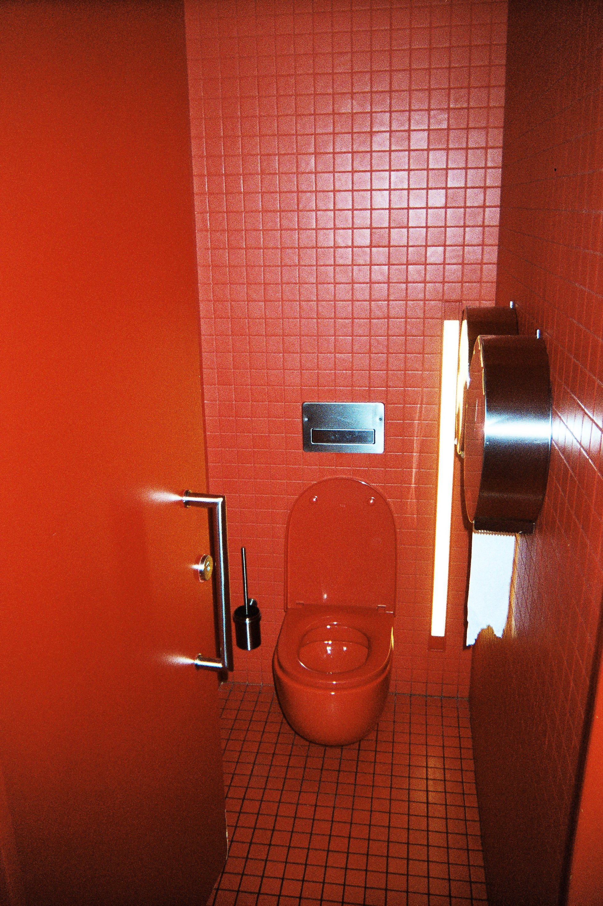 Roses, Paris, France, 2016