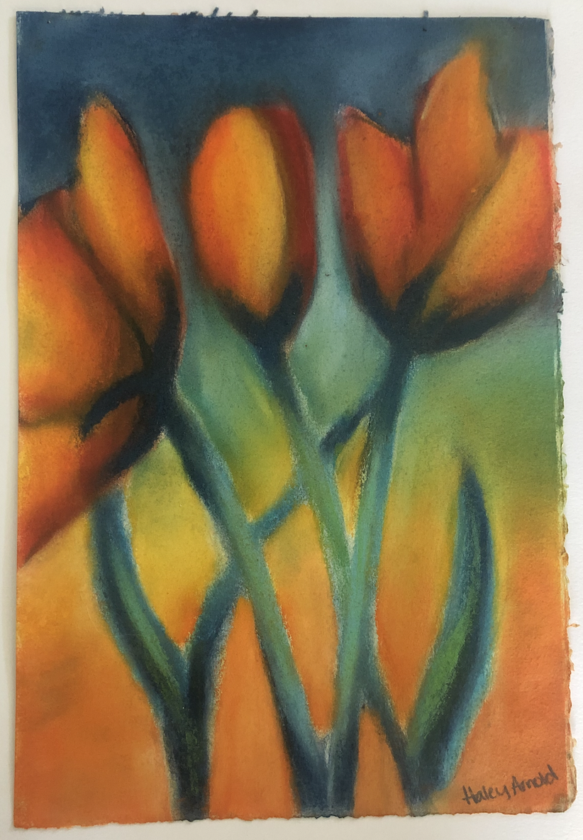 Tulips 1/3 - 2017 - Chalk on paper - Contact for purchase