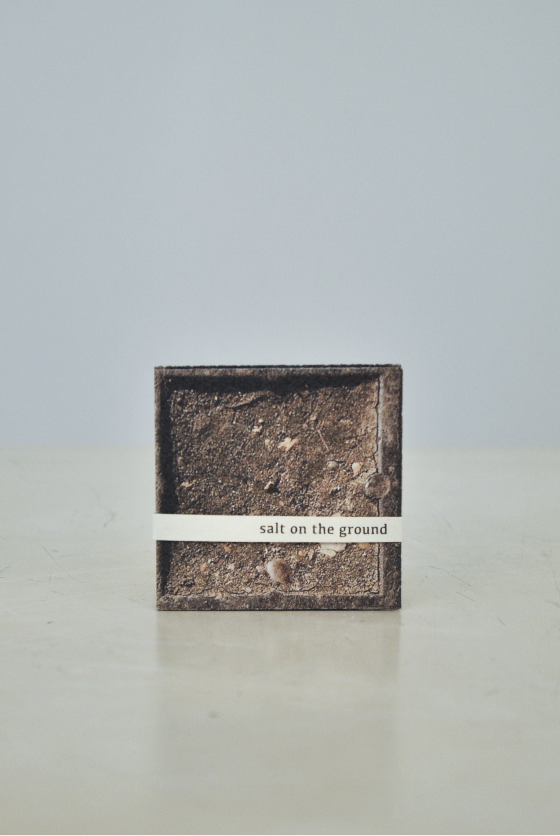 Salt on the ground (2017)