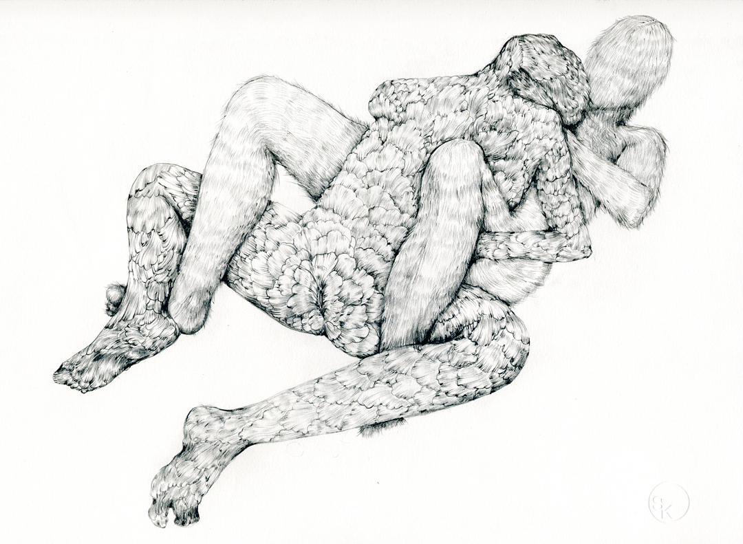 Flora vs Fauna, 2009