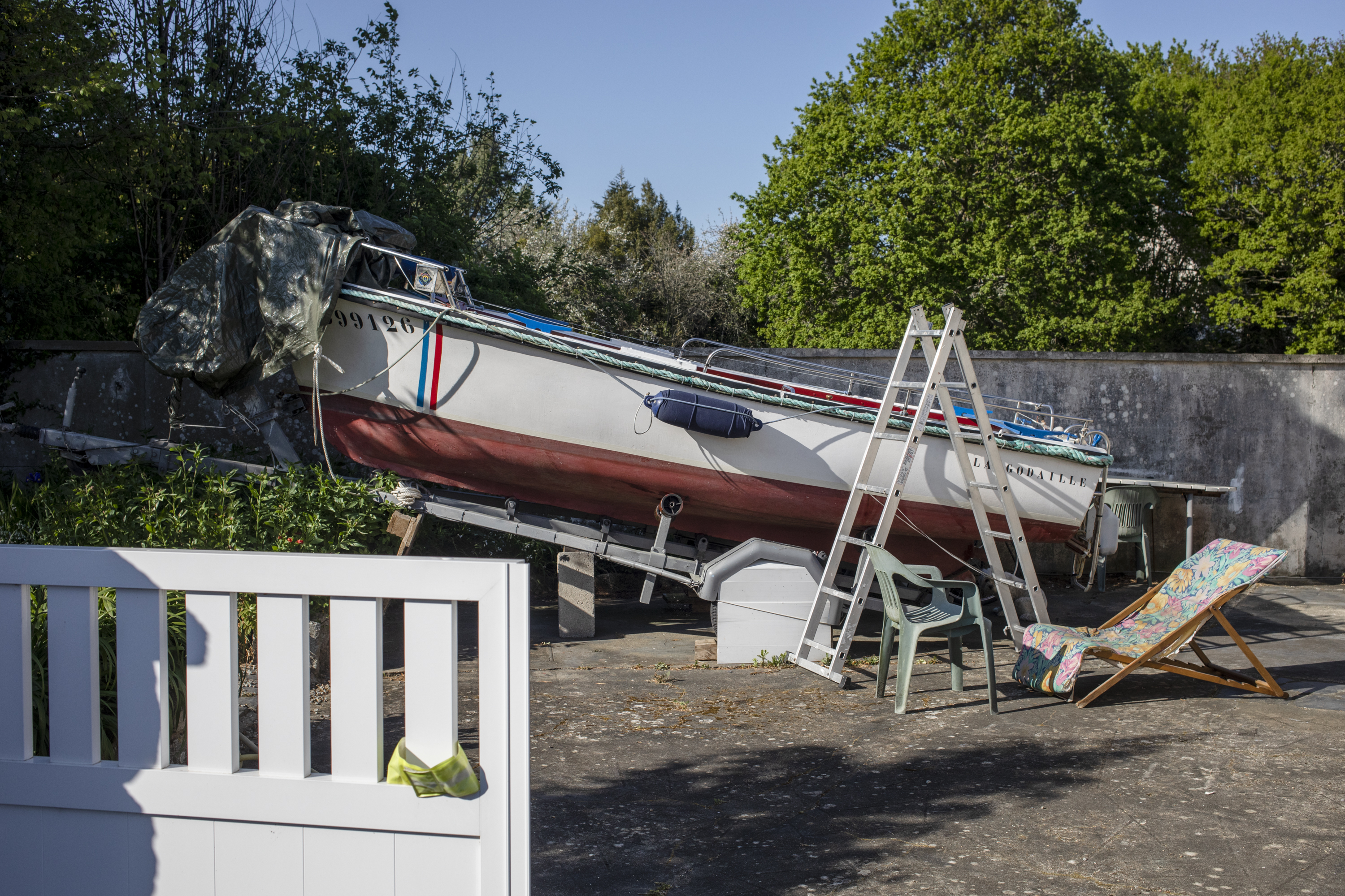 julien cregut-Lost Dogs-©juliencregut