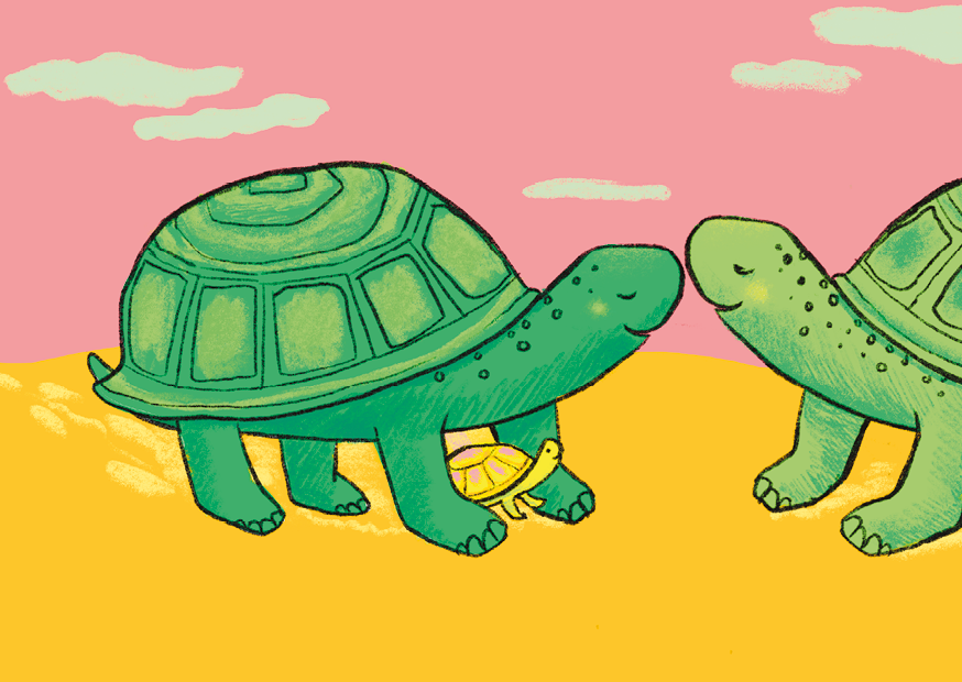 Schildkrötenfamilie