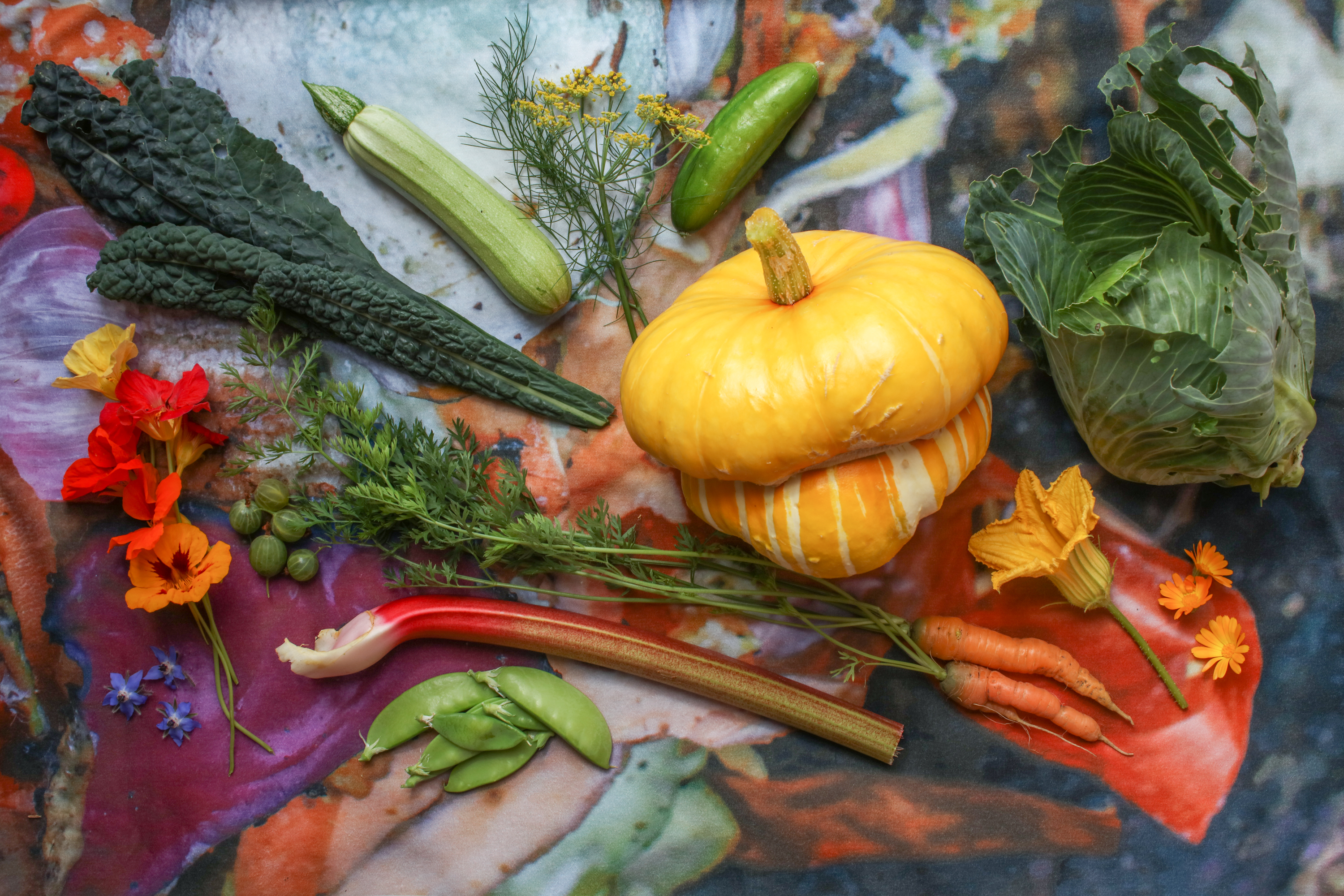 Anna Chrystal Stephens