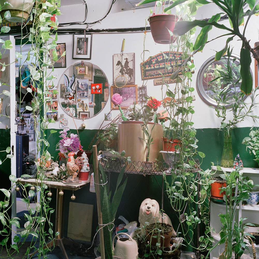 untitled 35 (dog) (2011)