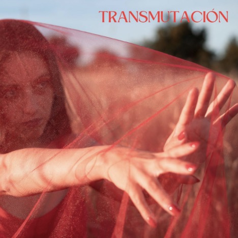 DELIRANTE SUSPIRO | TRANSMUTACI&Oacute;N